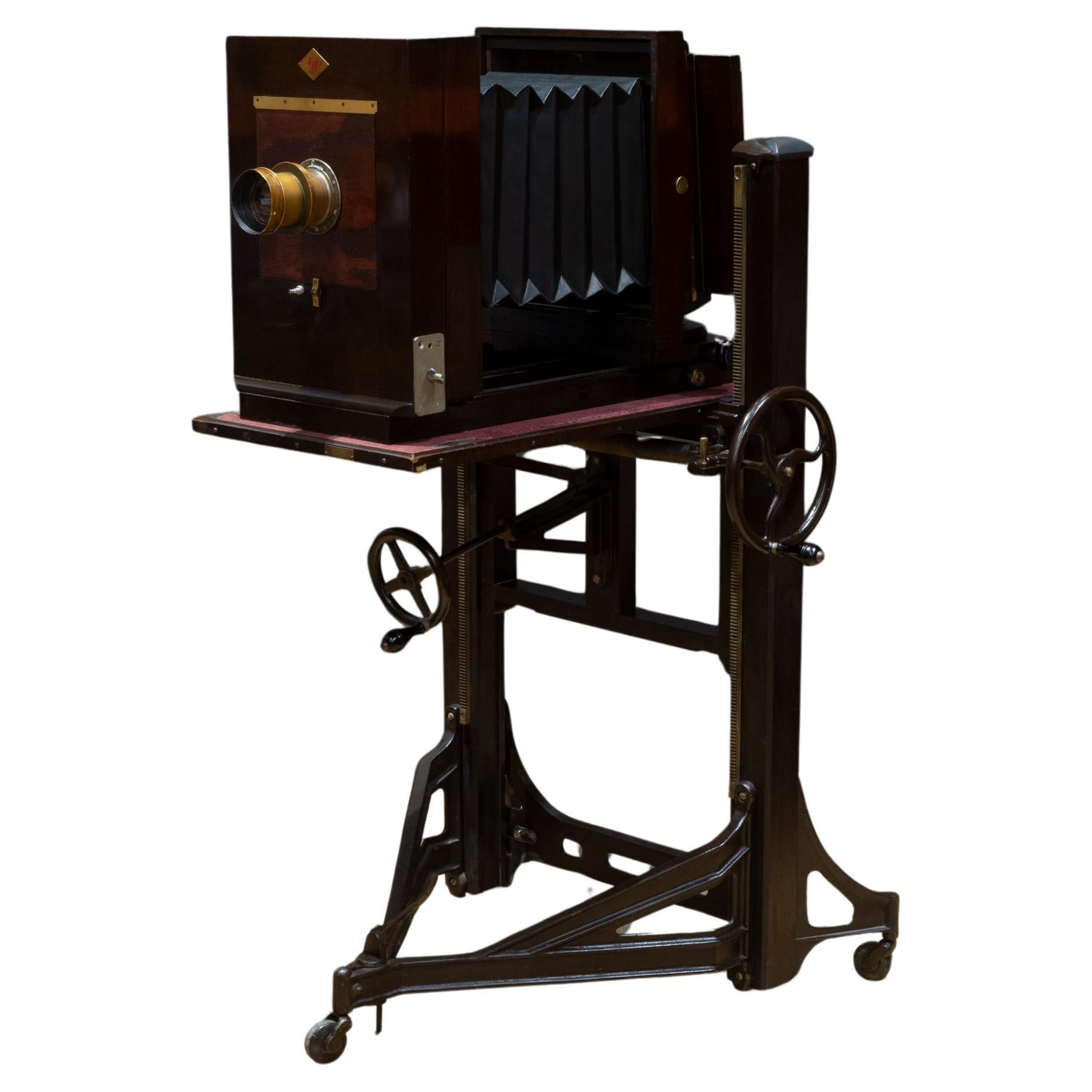 Large Format Mahogany Studio Camera on Adjustable Stand c.1890-1930 For Sale