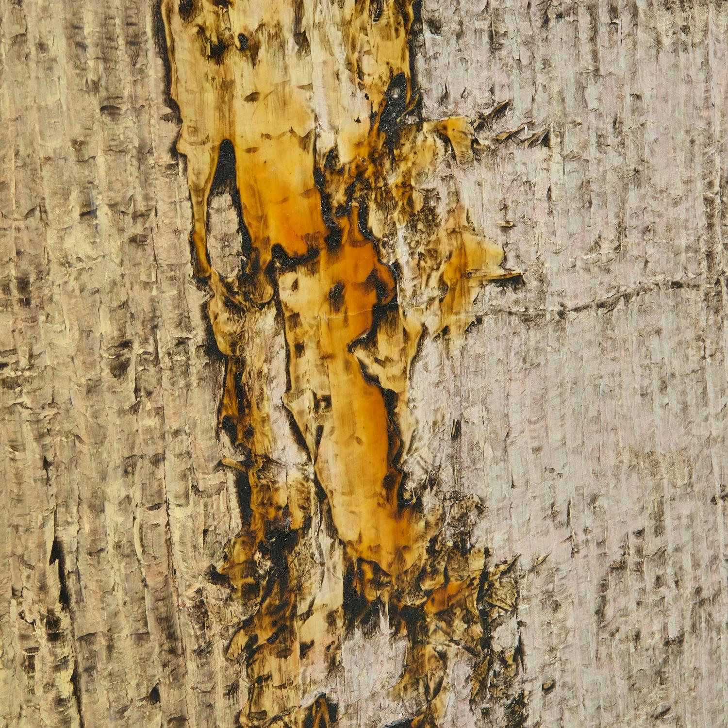 Dipinto a mano Pittura a tecnica mista di grande formato Stratum XVII, 1992, di Alfonse Borysewicz, NYC in vendita