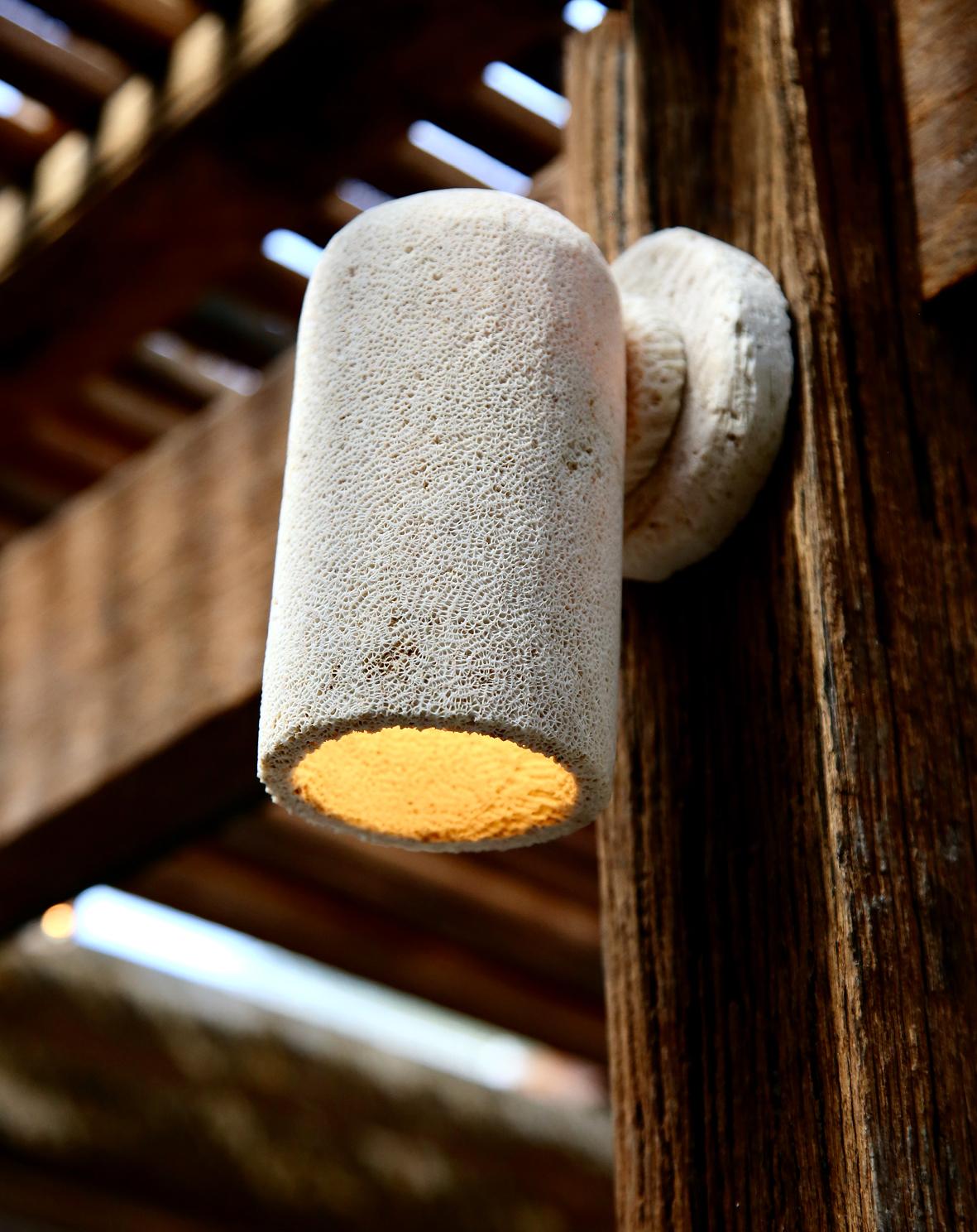 Aplique de pared grande de tubo de coral fósil by Marovo Island Traders Australiano en venta