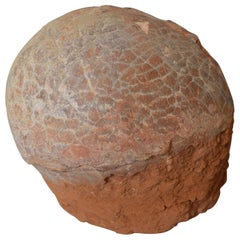 Large Fossilized Hadrosaur Dinosaur Egg, circa 70 Million Years