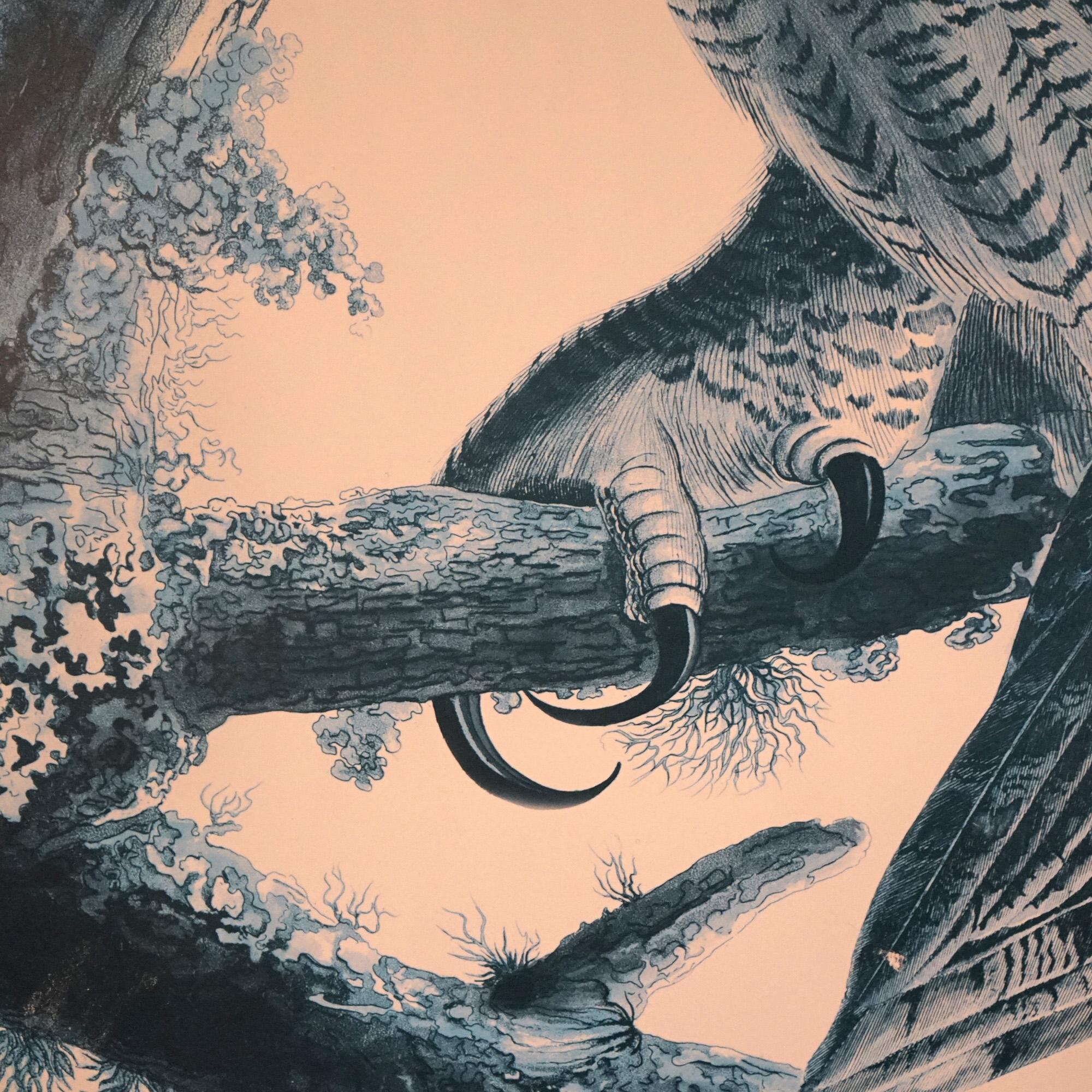 Large Framed Audubon Print of Great Horned Owls, Plate 61, 20thC In Good Condition In Big Flats, NY