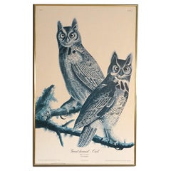 Large Framed Audubon Print of Great Horned Owls, Plate 61, 20thC