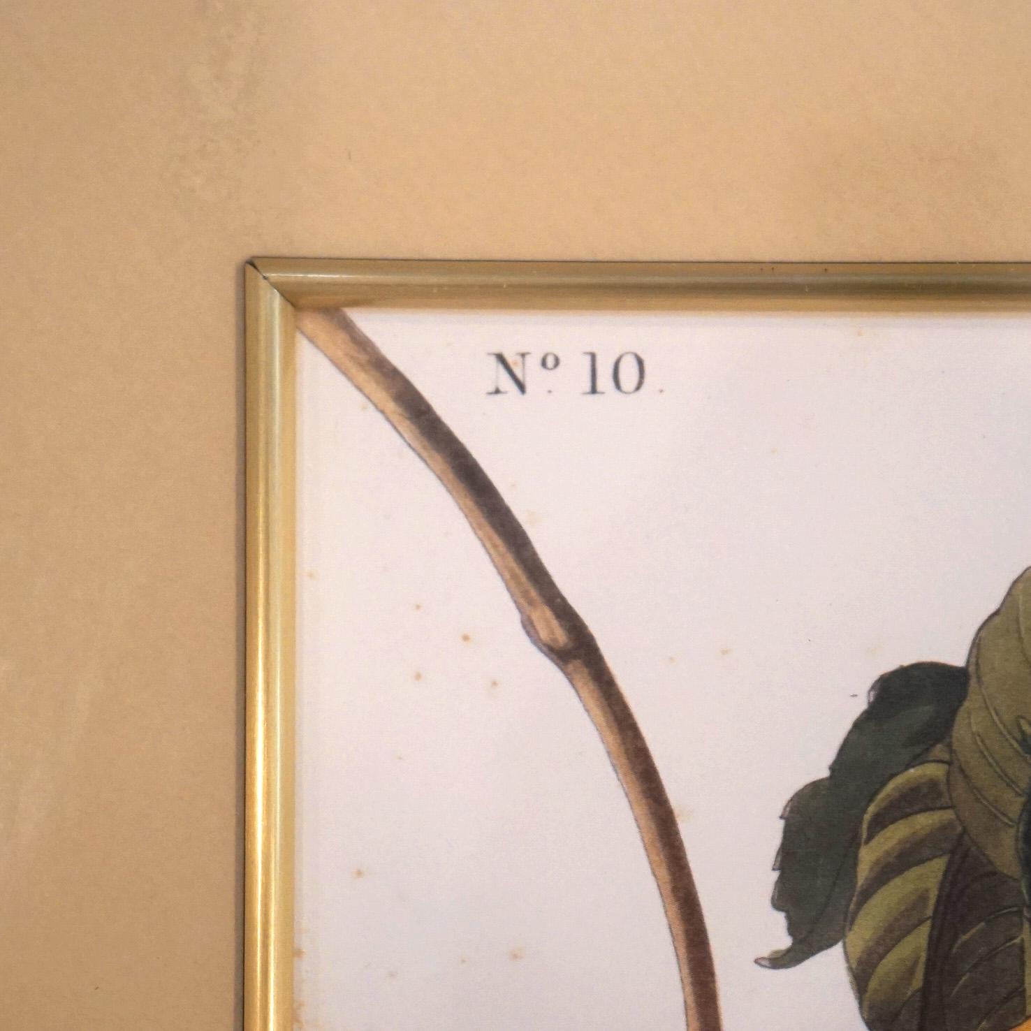 Large Framed Audubon Print of Ruby Throated Hummingbirds, Plate XLVII,  20thC 5