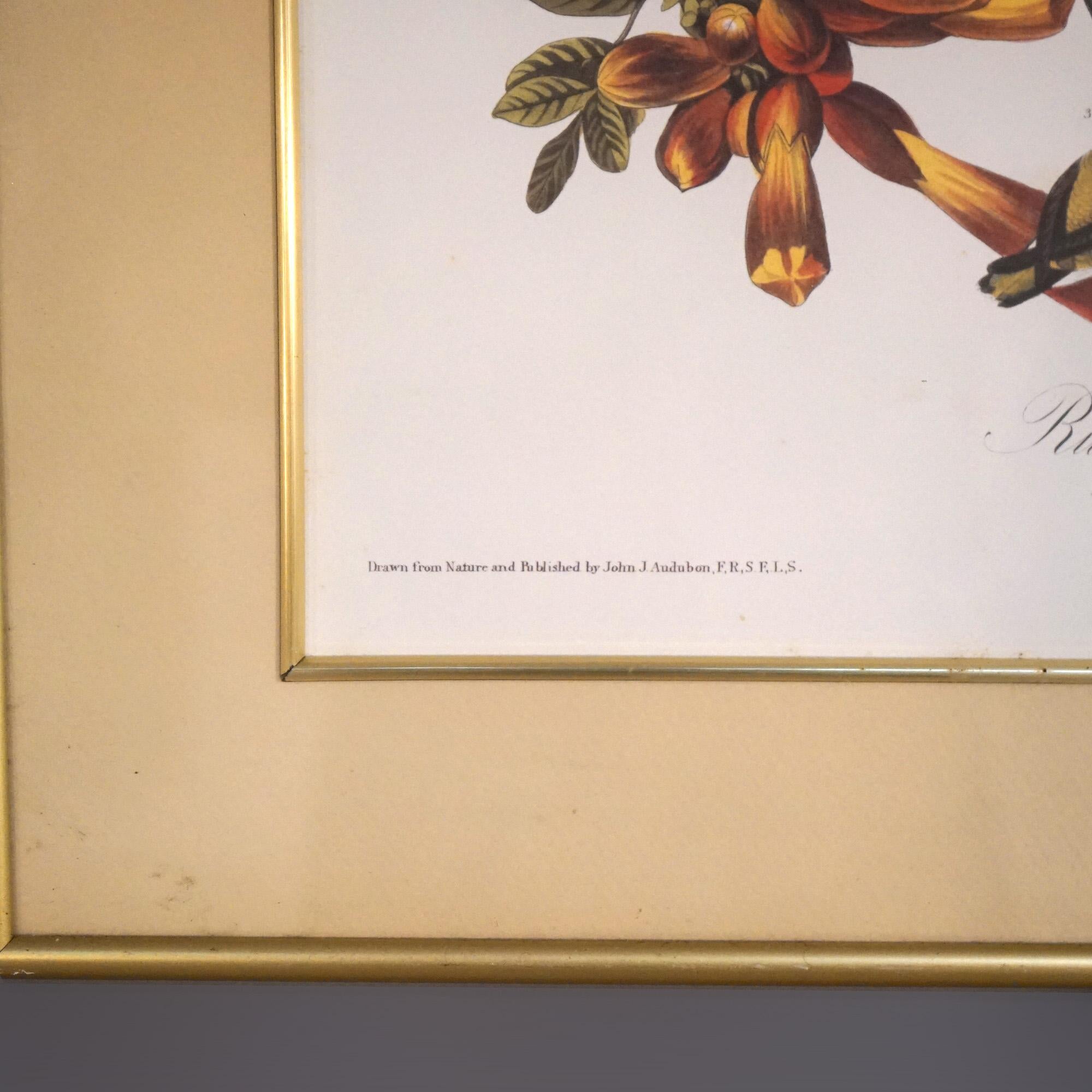 Large Framed Audubon Print of Ruby Throated Hummingbirds, Plate XLVII,  20thC 2