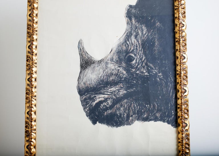 Large Framed Drawing of a Baby Rhino Head For Sale 7