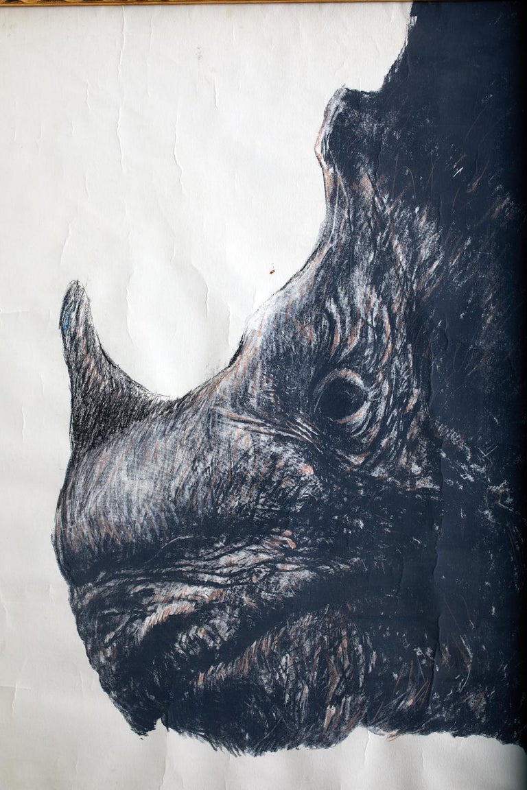 Modern Large Framed Drawing of a Baby Rhino Head For Sale