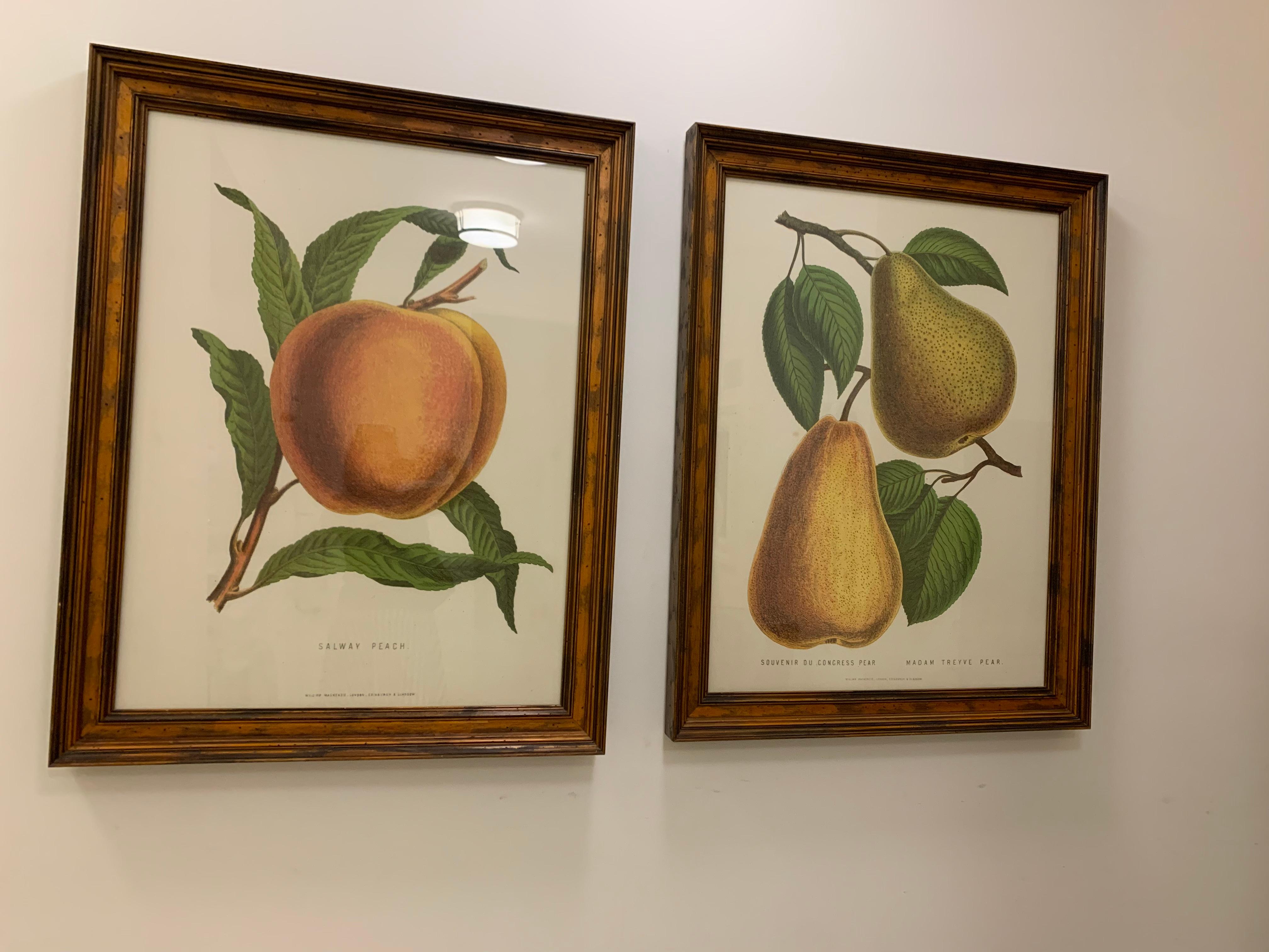 These chromolithographs are by the esteemed Belgian lithographer G. Severyns from illustrations by J Macfarlane and published by William Mackenzie of London Glasgow and Edinburgh. Presented in bespoke frames behind Tru Vu glass which cuts reflection