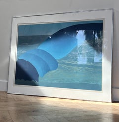 Large framed original screenprint print of whale, signed by artist, 1983
