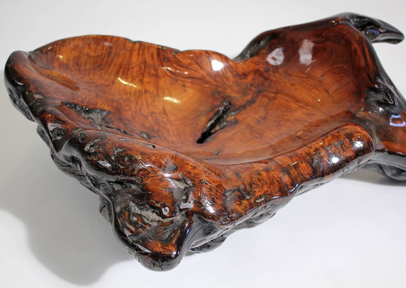 Large Free-Form Burl Root Wood Lacquered Centerpiece Bowl 1
