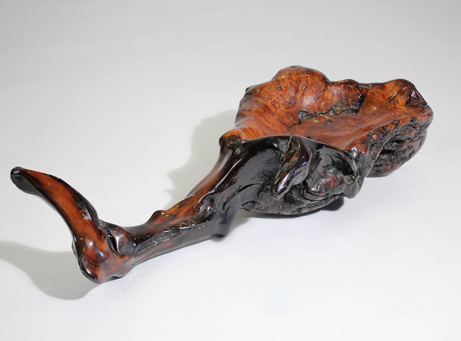 Statement piece! Beautiful free-form burl root wood lacquered centerpiece bowl. Large size, measuring 30