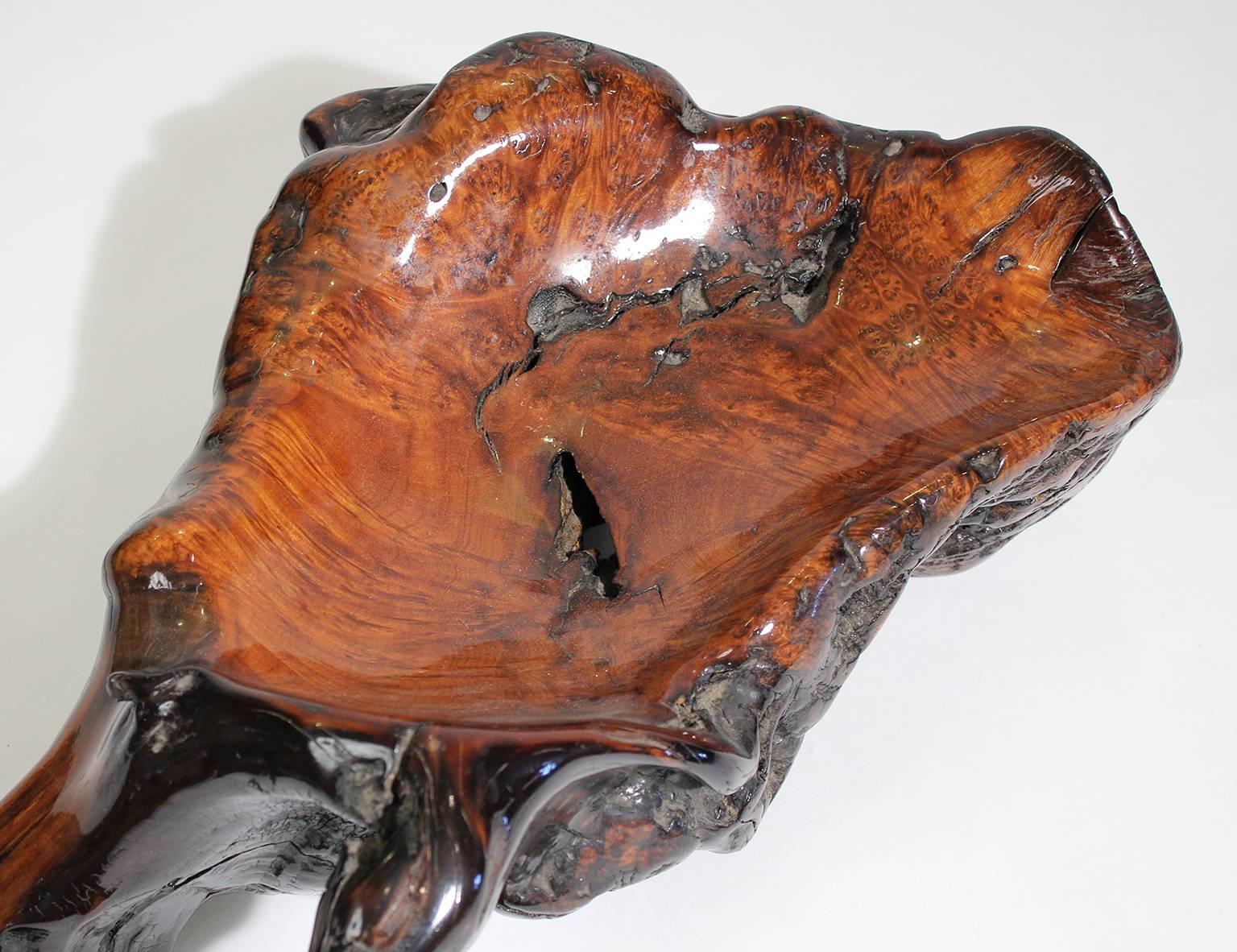 American Large Free-Form Burl Root Wood Lacquered Centerpiece Bowl