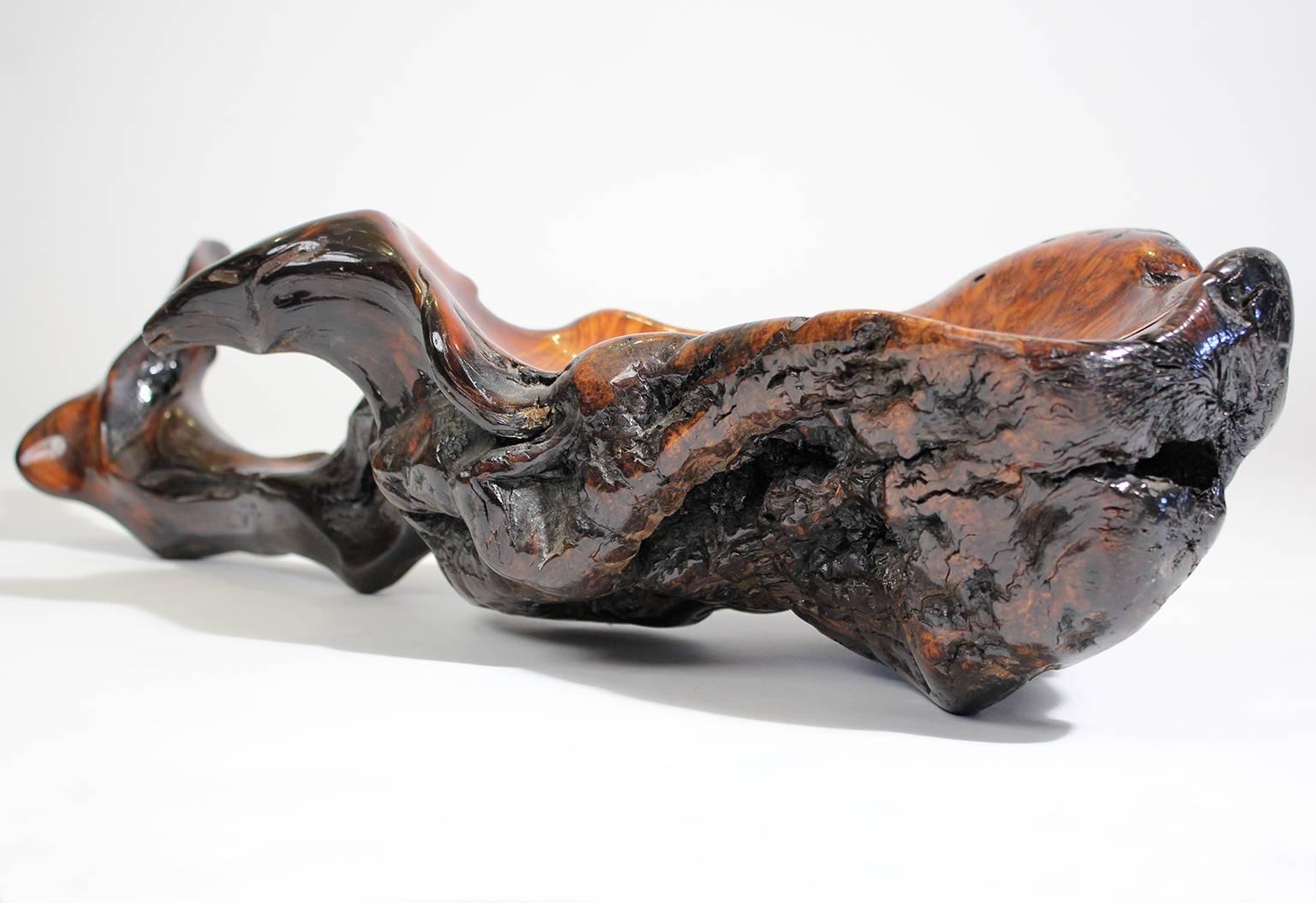Hand-Carved Large Free-Form Burl Root Wood Lacquered Centerpiece Bowl