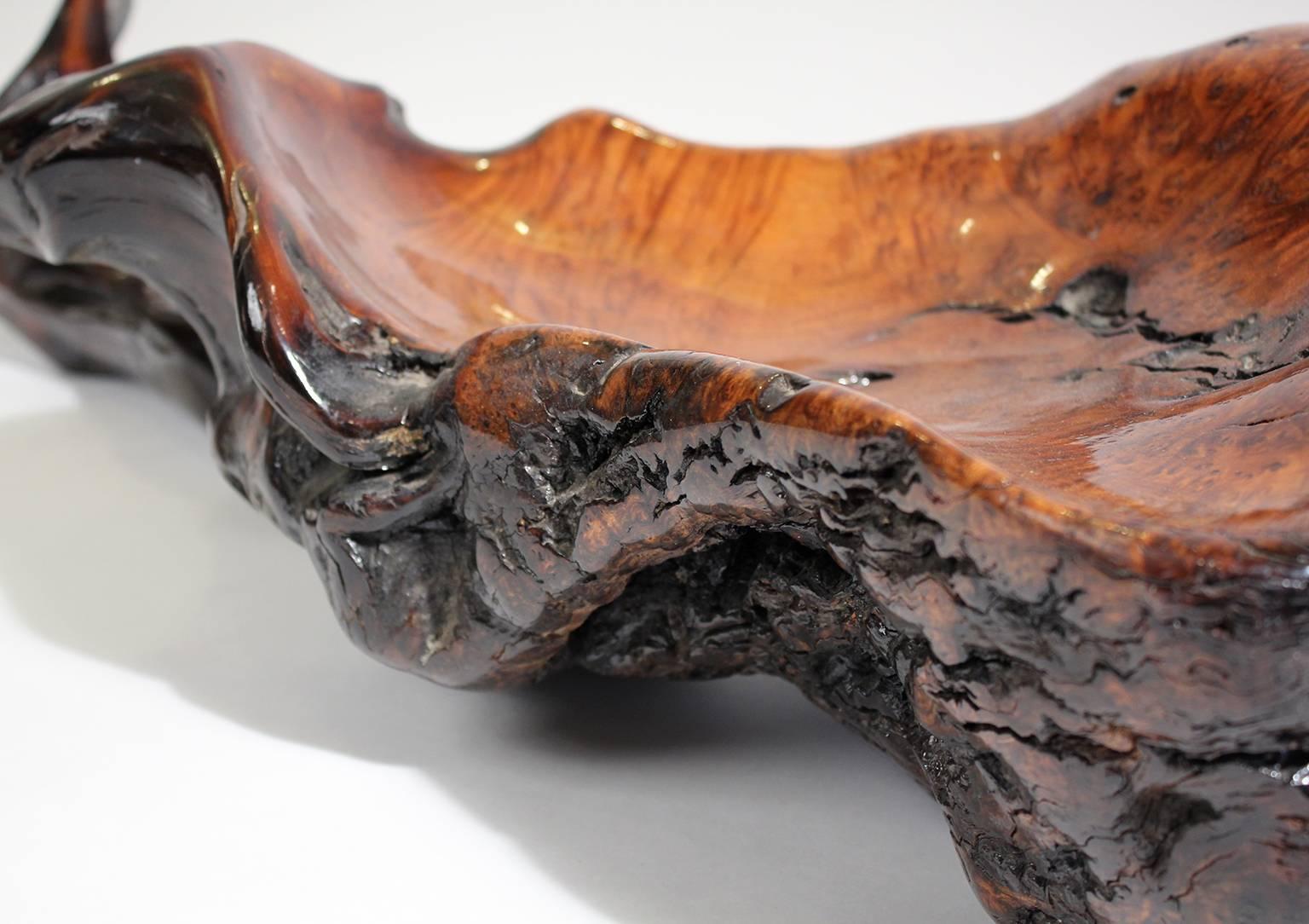 Large Free-Form Burl Root Wood Lacquered Centerpiece Bowl In Excellent Condition In San Diego, CA