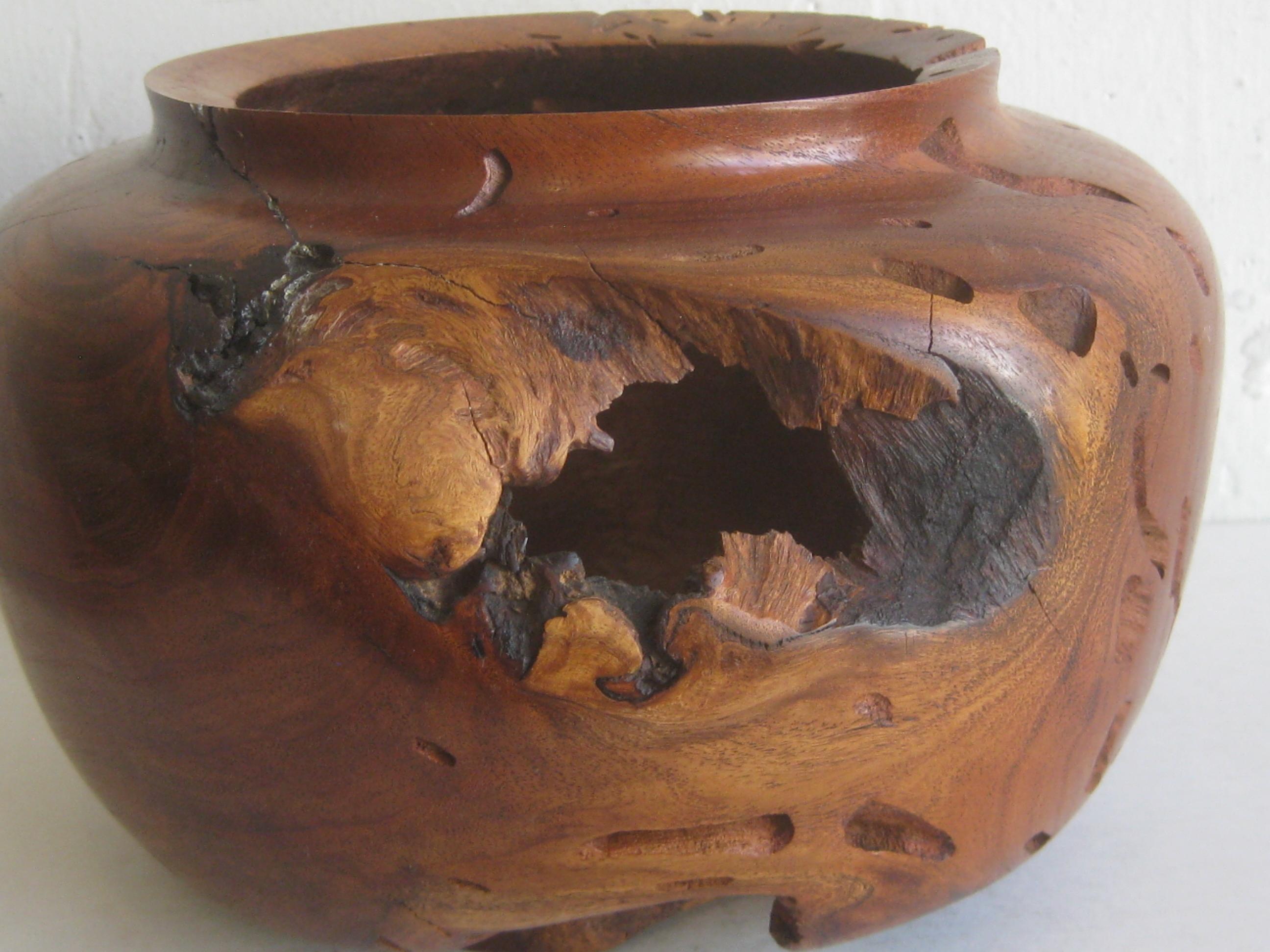 Large Freeform Mesquite Wood Organic Live Edge Bowl Vase by Norman Harrison For Sale 1