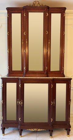 Large French 19th Century Louis XVI Mirrored Vitrine/Display Cabinet