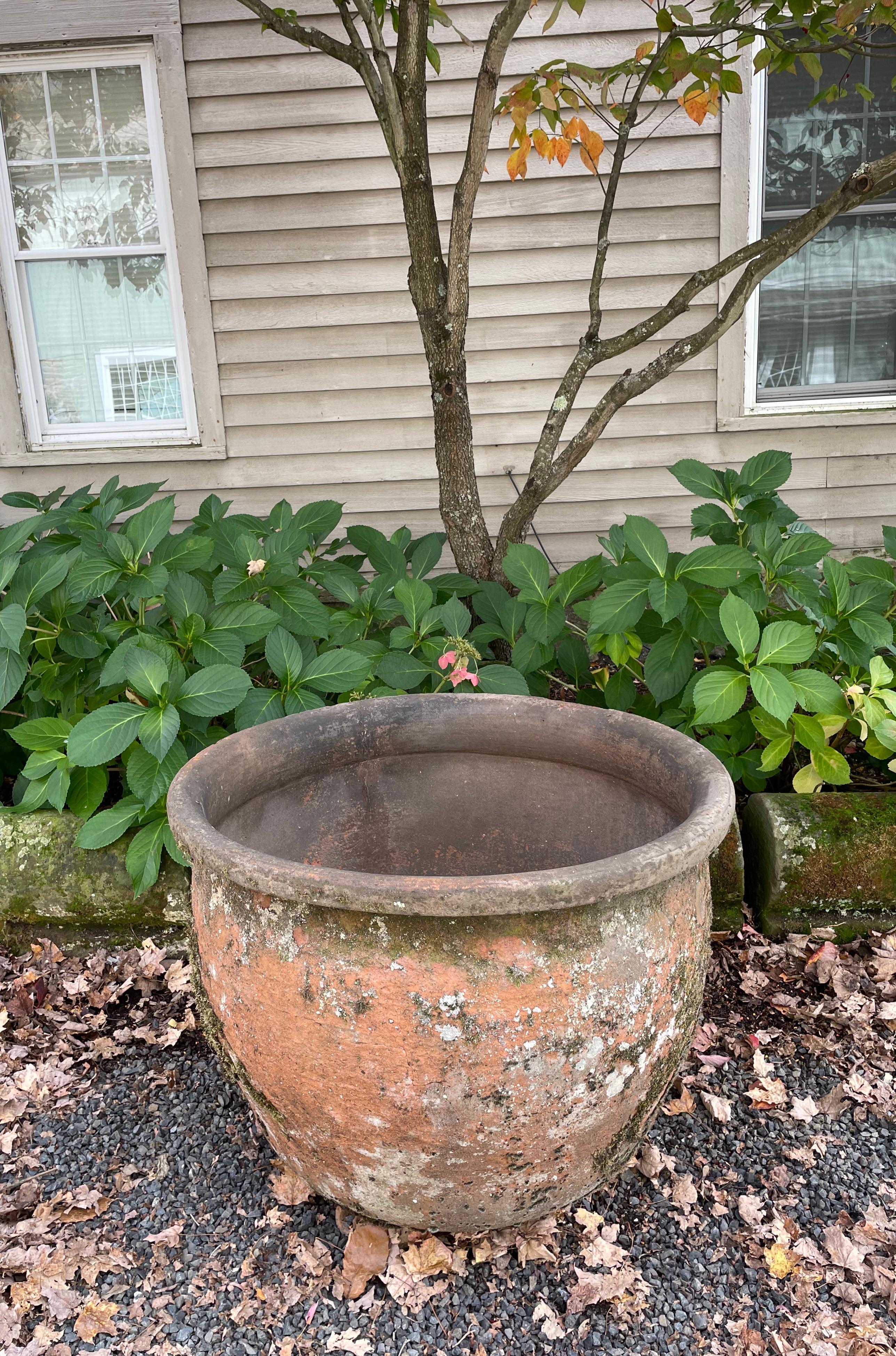 Rustic Large French 19th Century Terracotta Pot/Planter with Fabulous Patina