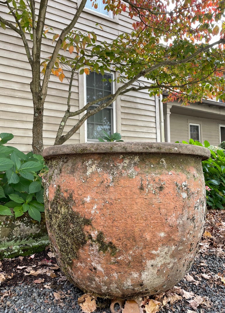 https://a.1stdibscdn.com/large-french-19th-century-terracotta-pot-planter-fountain-with-fabulous-patina-for-sale-picture-8/f_8634/f_259546421635882661199/IMG_8759_master.jpeg?width=768