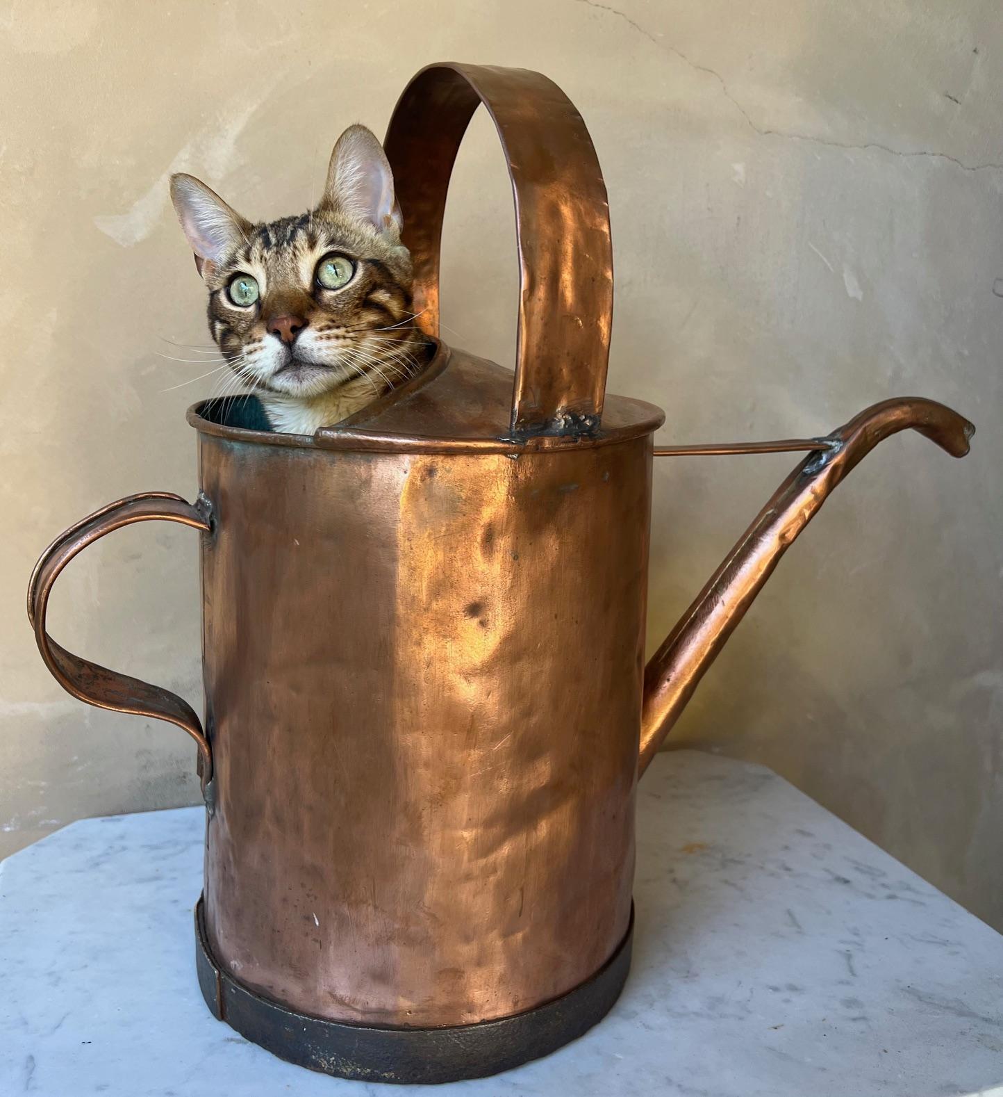 Français Grand arrosoir français en cuivre ancien et bordure en fer forgé, 19e siècle en vente
