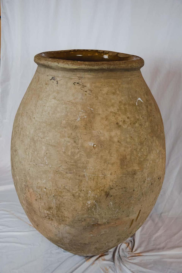 Large French Biot Olive Jar For Sale at 1stDibs