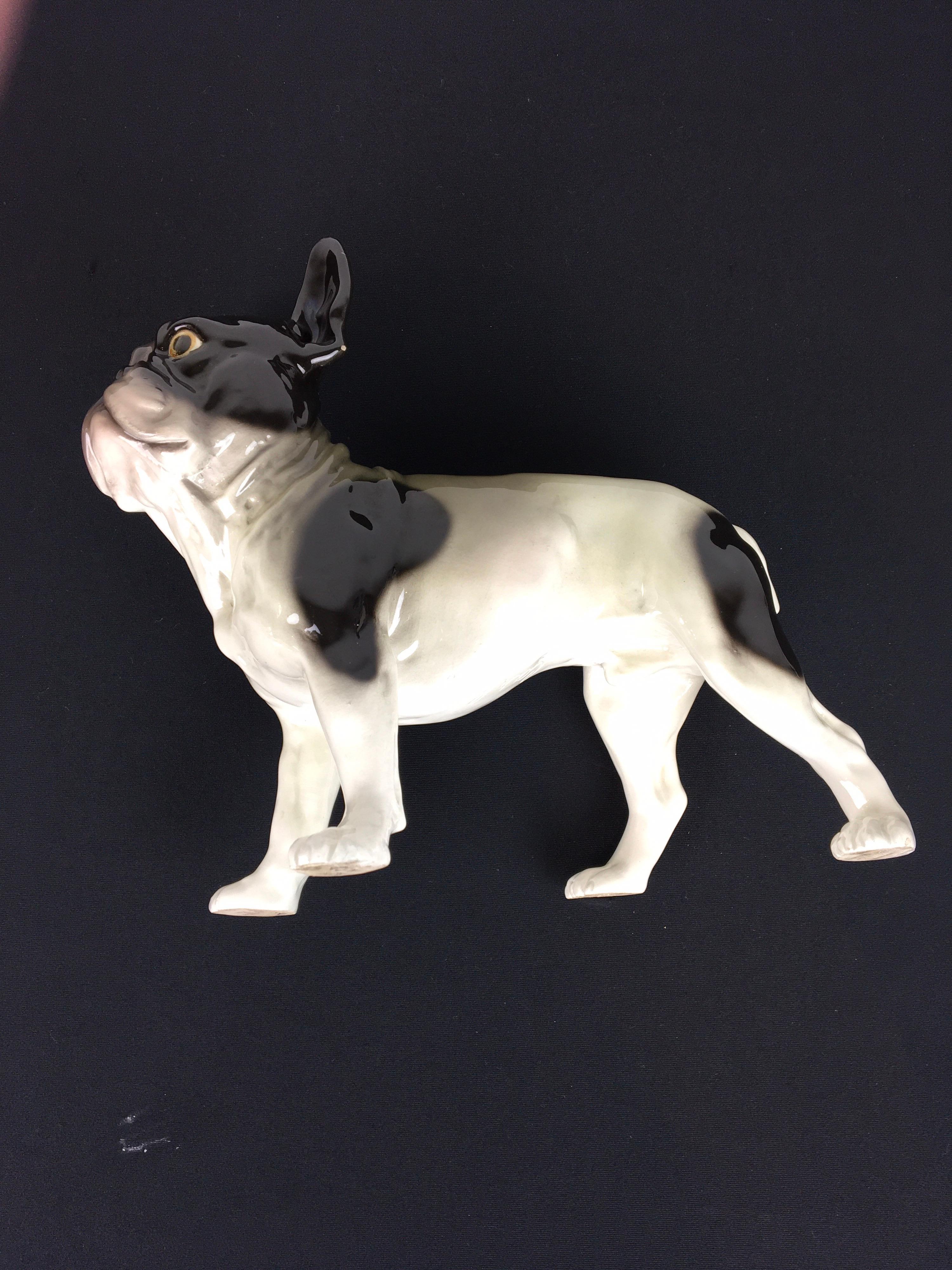 Large French Bulldog, Goldscheider Porcelain, Austria 2