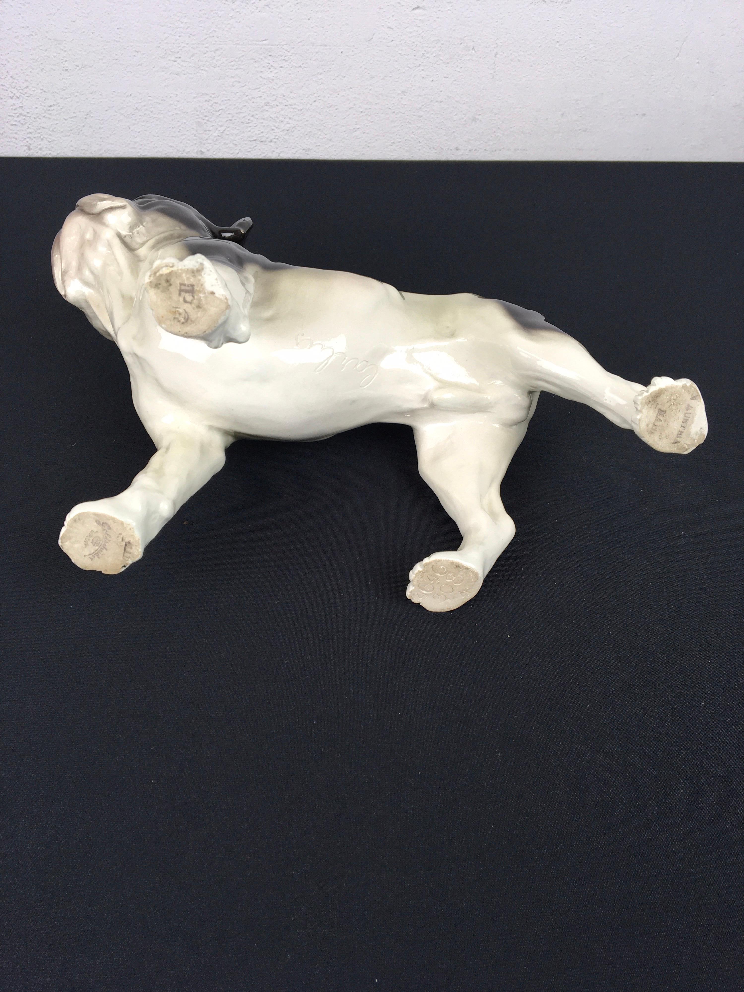Large French Bulldog, Goldscheider Porcelain, Austria 4