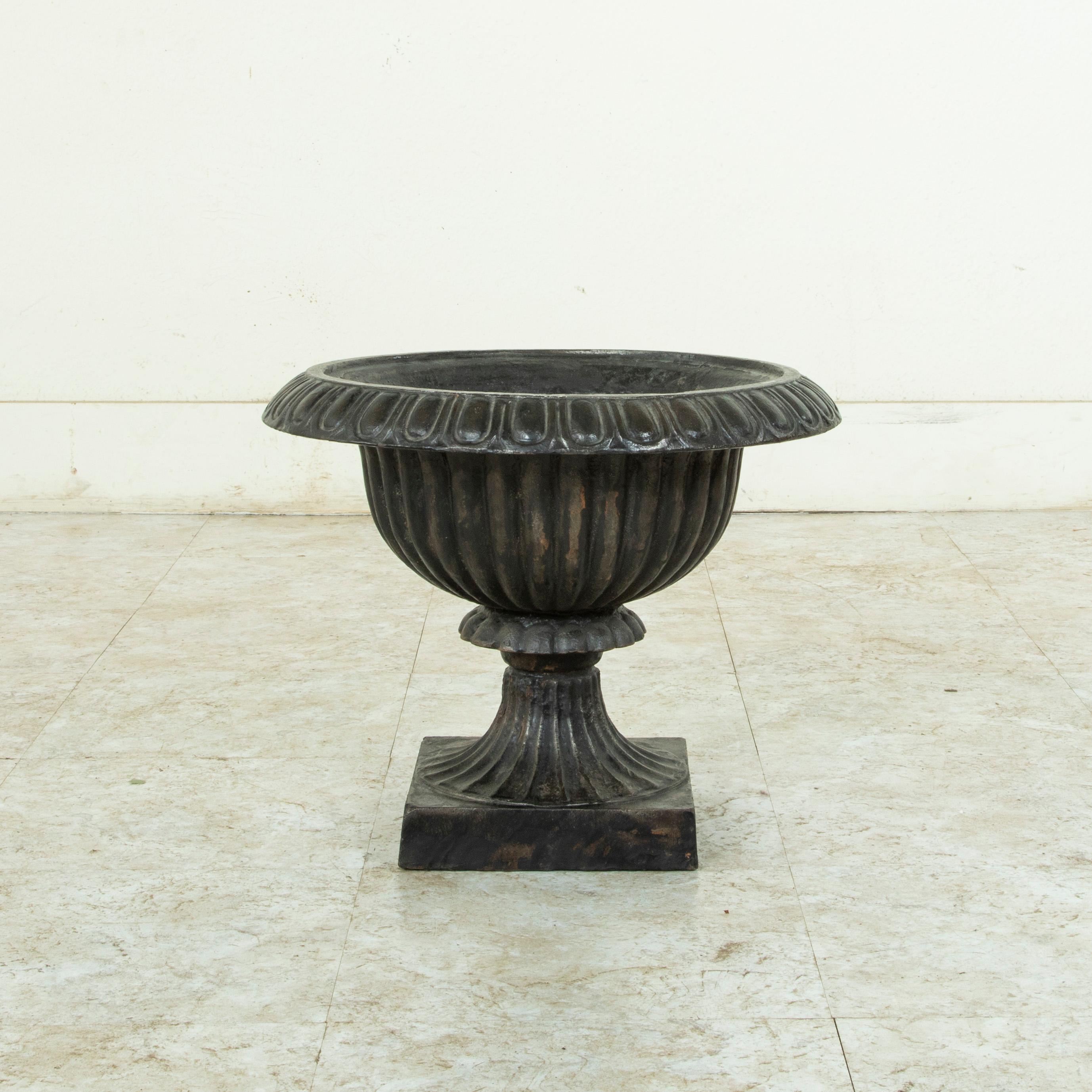Large French Cast Iron Planter, Jardinière, or Urn, circa 1900 In Good Condition In Fayetteville, AR