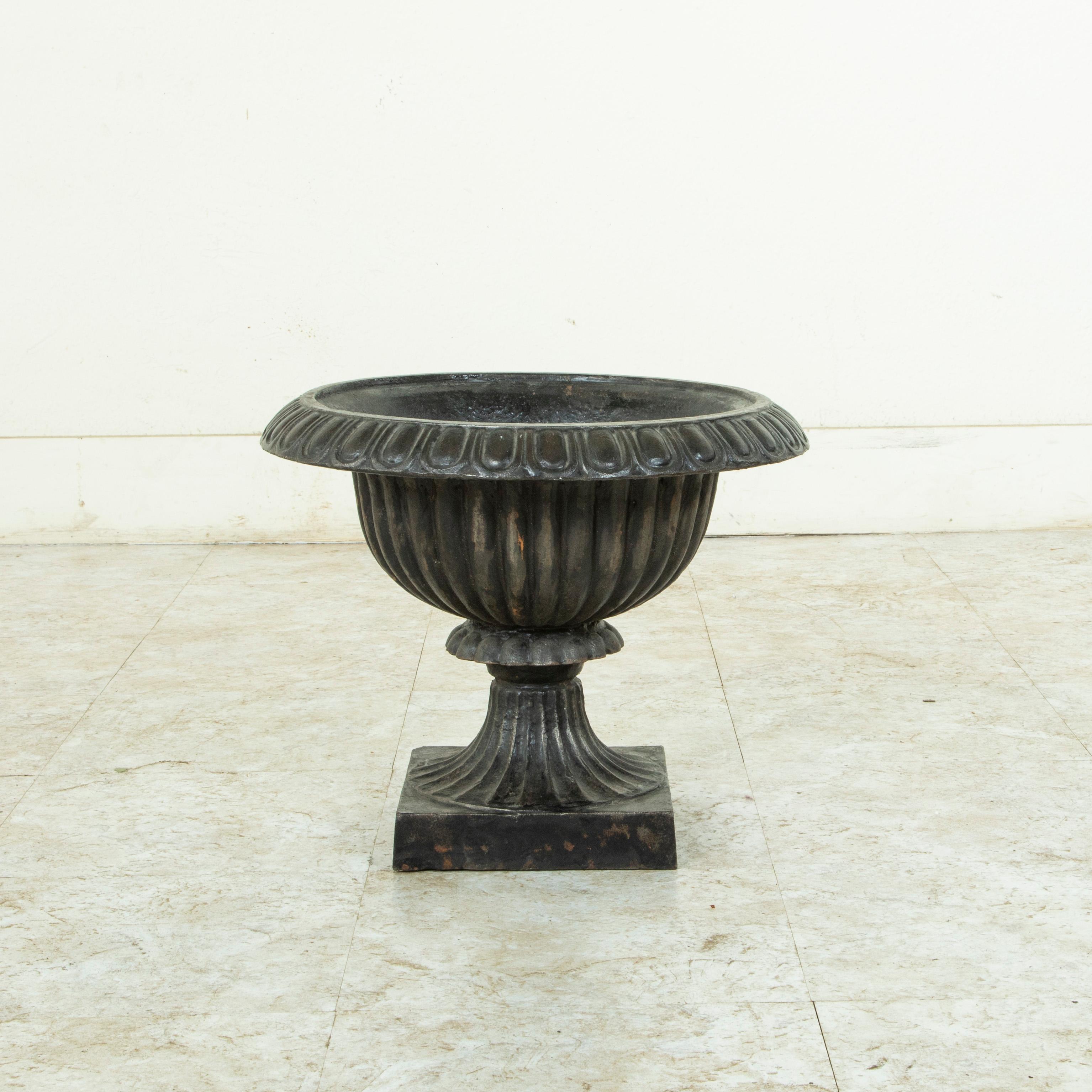 Early 20th Century Large French Cast Iron Planter, Jardinière, or Urn, circa 1900