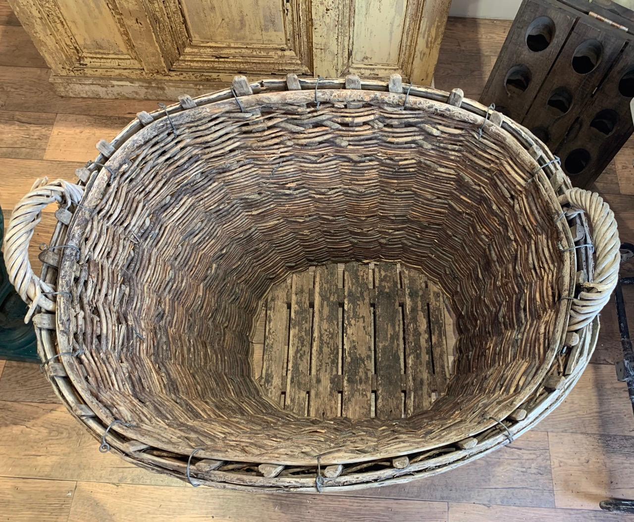Wicker Large French Champagne Grape Harvesting Basket
