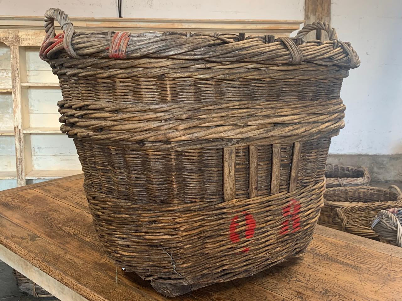 Hand-Crafted Large French Champagne Harvesting Basket