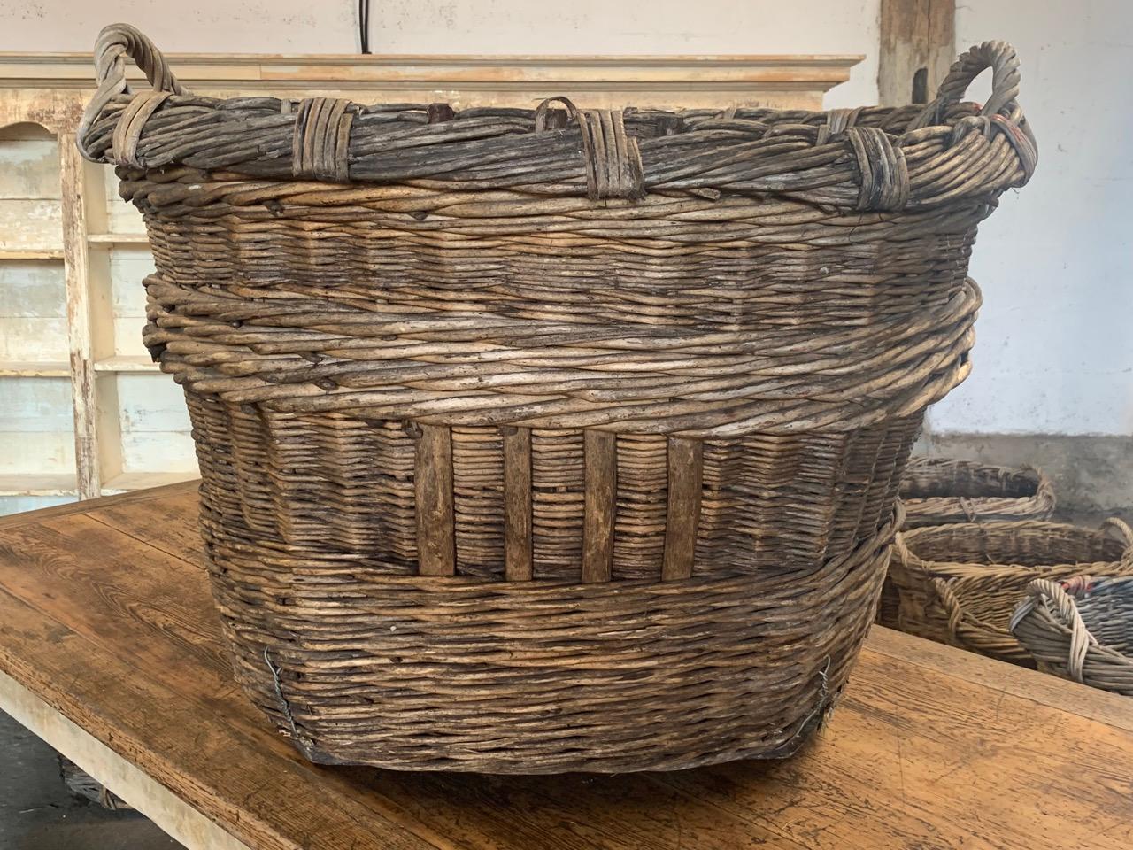 Large French Champagne Harvesting Basket In Good Condition In Ongar, GB