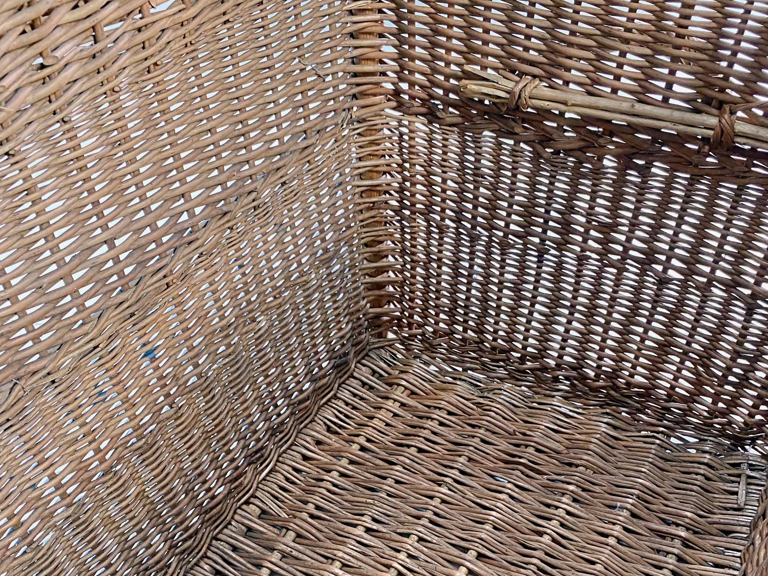 Large French Champagne Wicker Basket Trunk, 1940s, France 5