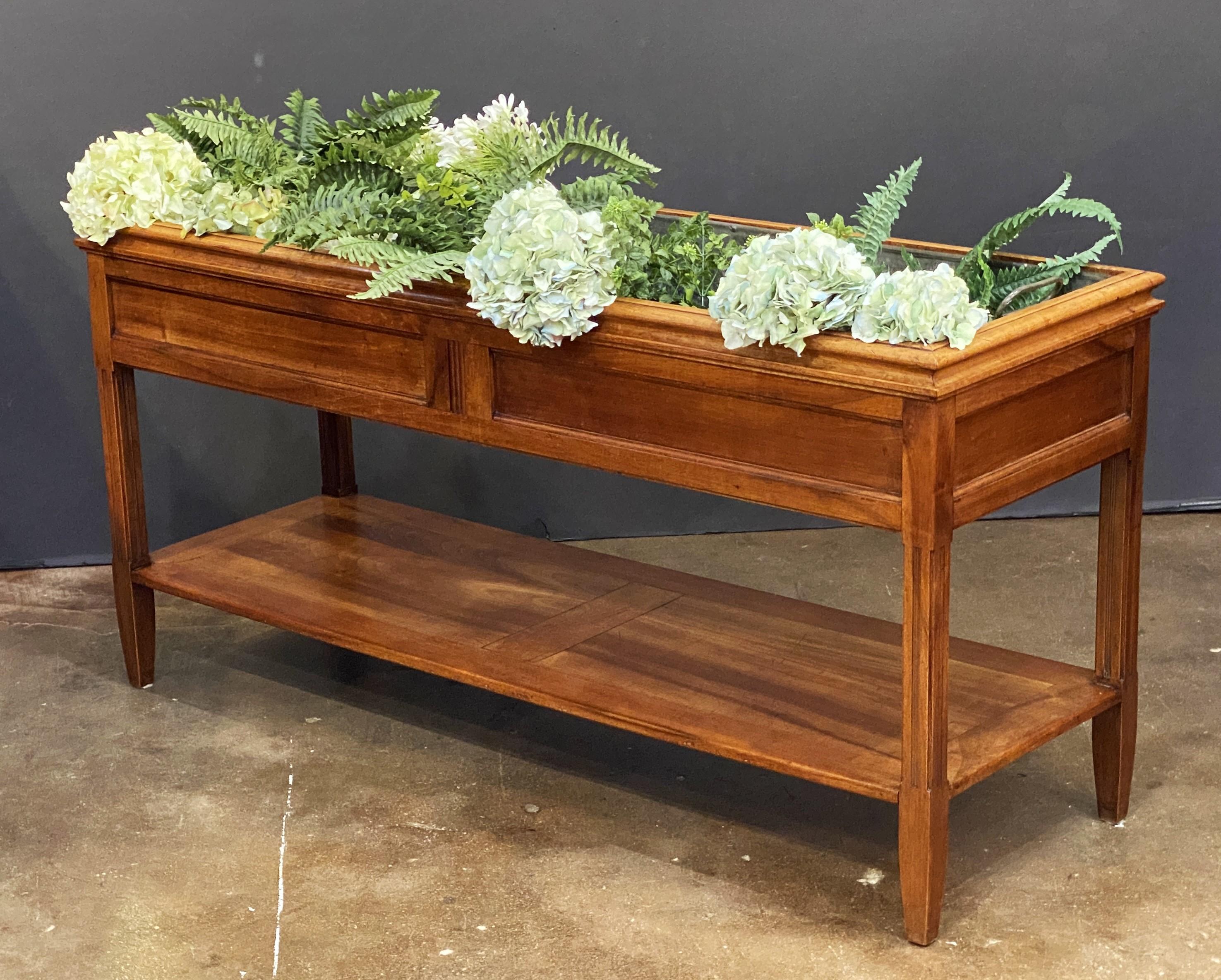 Français Grande table console ou jardinière en merisier avec revêtement en métal en vente