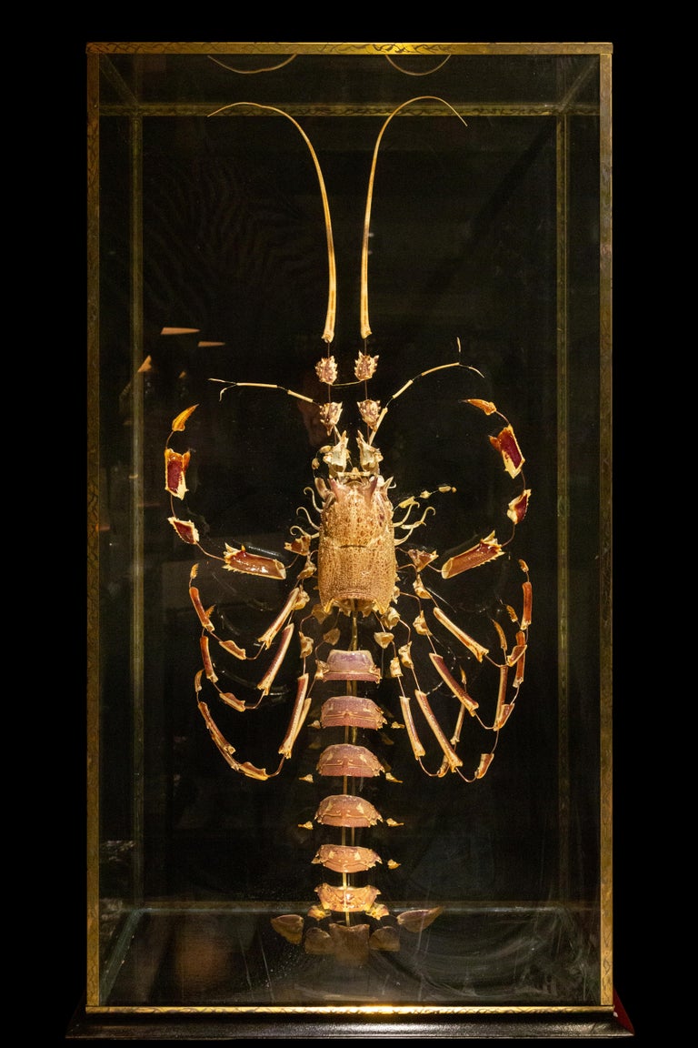 Napoleon III Large French Deconstructed Clawed Lobster Sculpture in a Glass and Brass Case For Sale