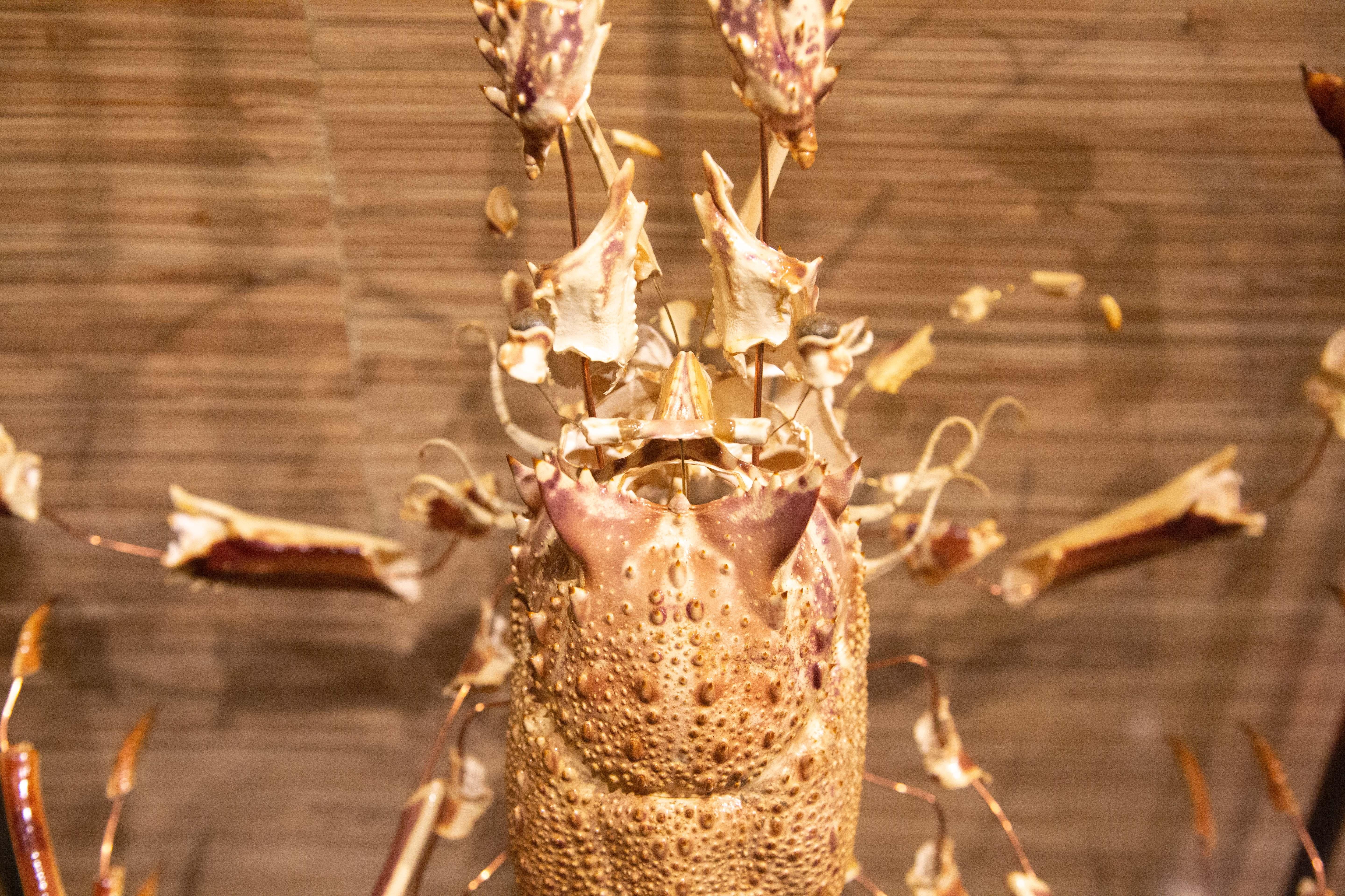 Napoleon III Large French Deconstructed Clawed Lobster Sculpture in a Glass and Brass Case