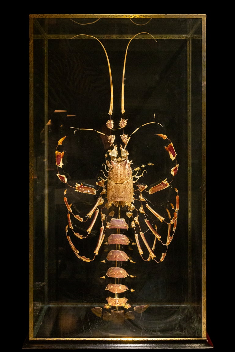 Large French Deconstructed Clawed Lobster Sculpture in a Glass and Brass Case For Sale