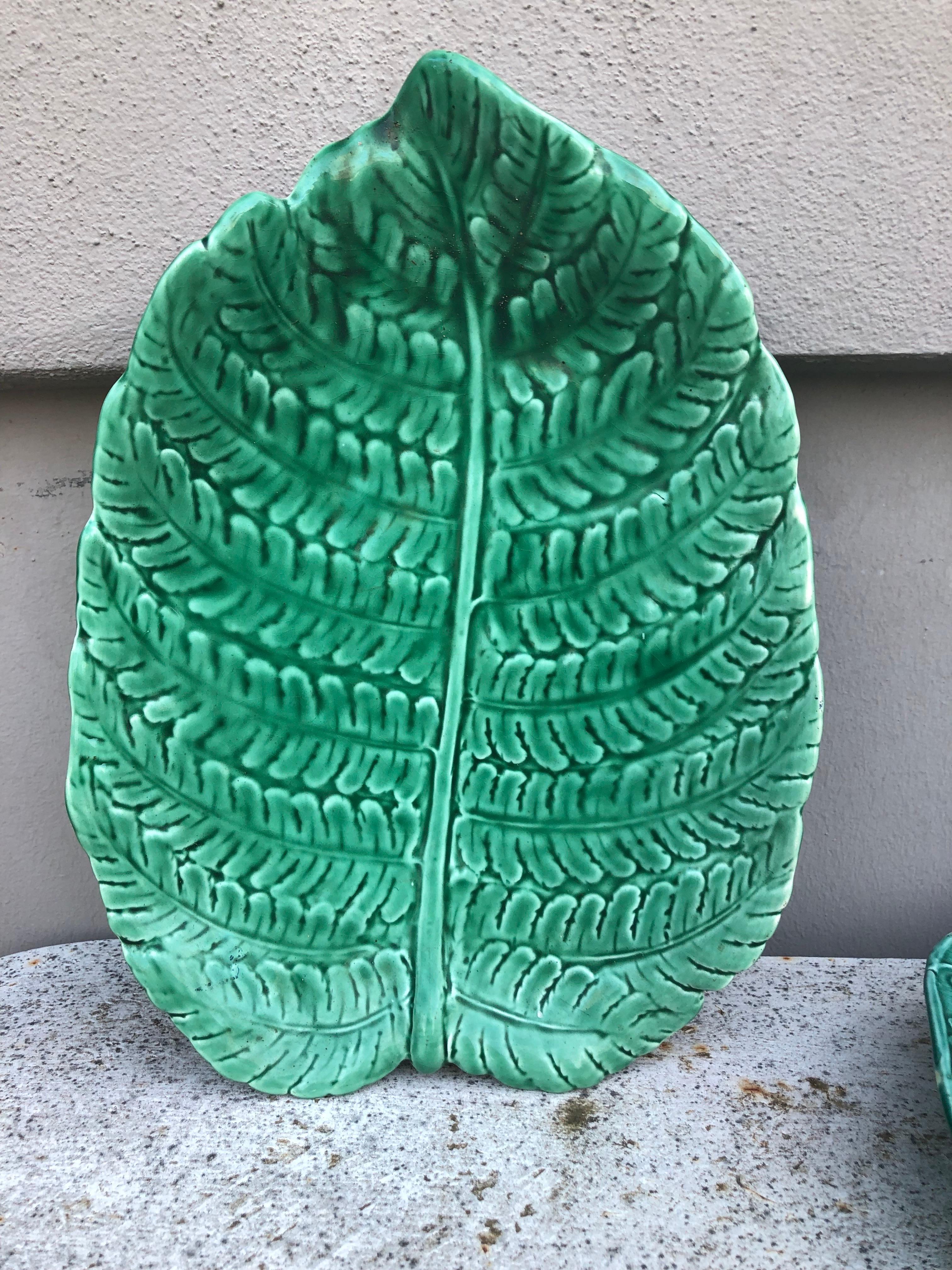 Large French fern leaf signed Sarreguemines circa 1930.