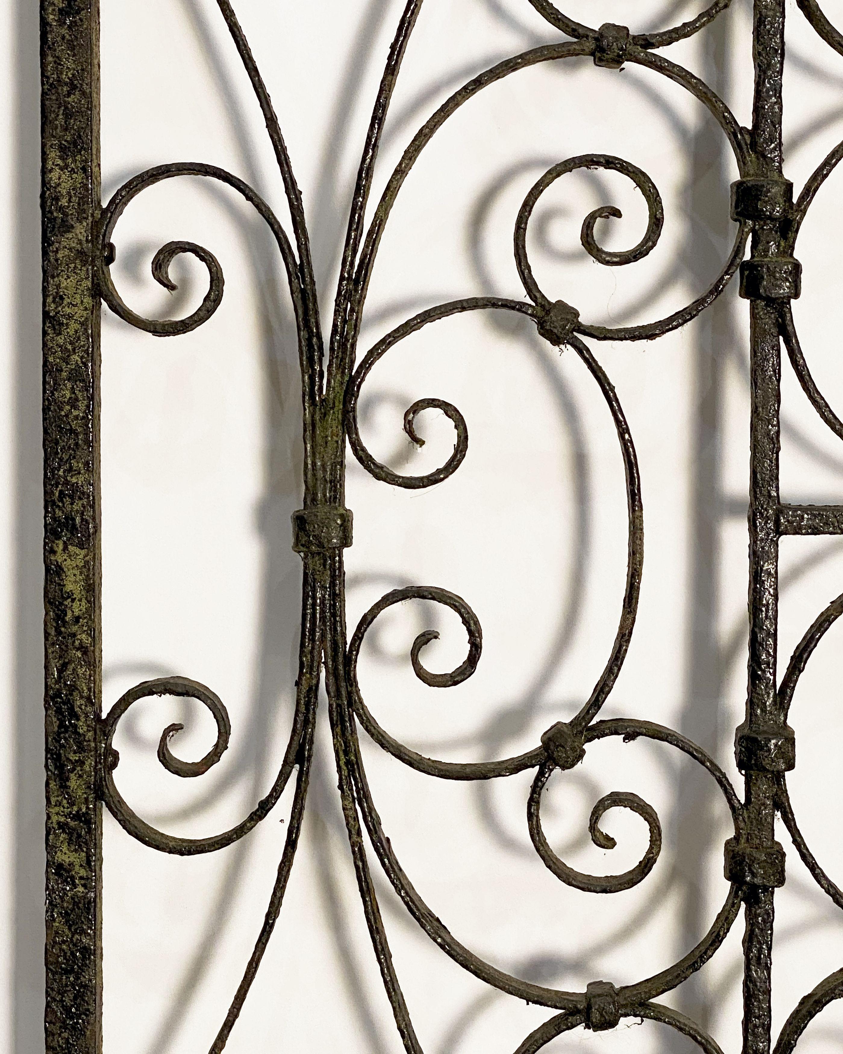 Large French Gate of Wrought Iron from the 19th Century 5