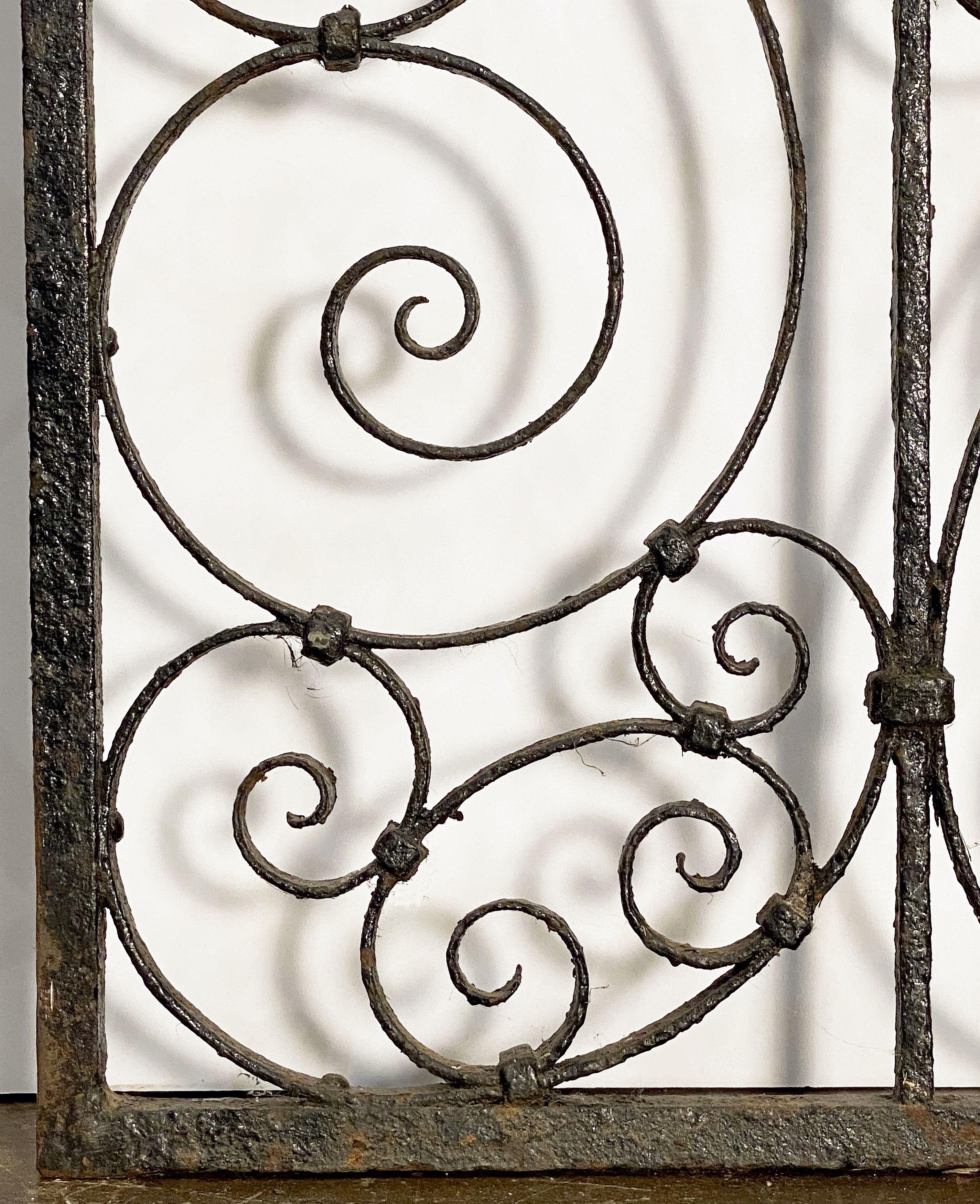 Large French Gate of Wrought Iron from the 19th Century 6