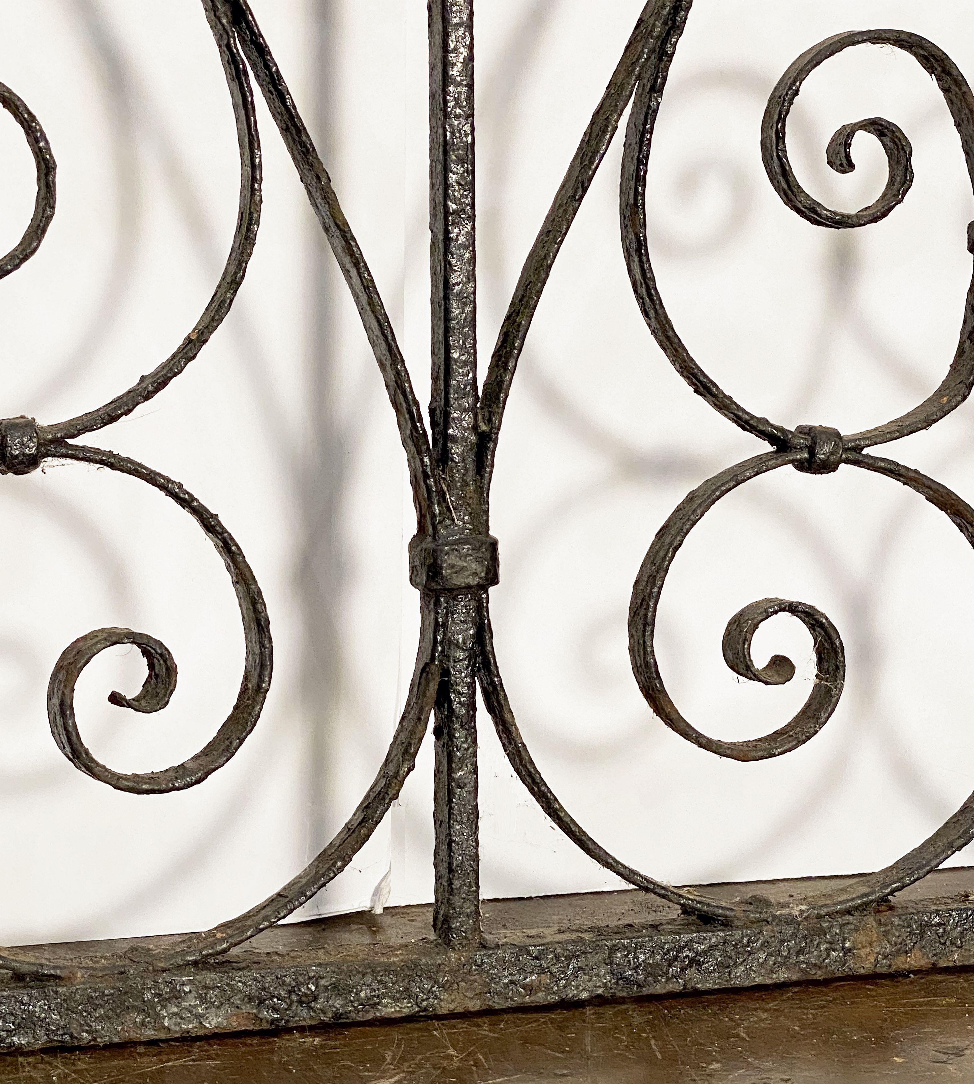 Large French Gate of Wrought Iron from the 19th Century 7