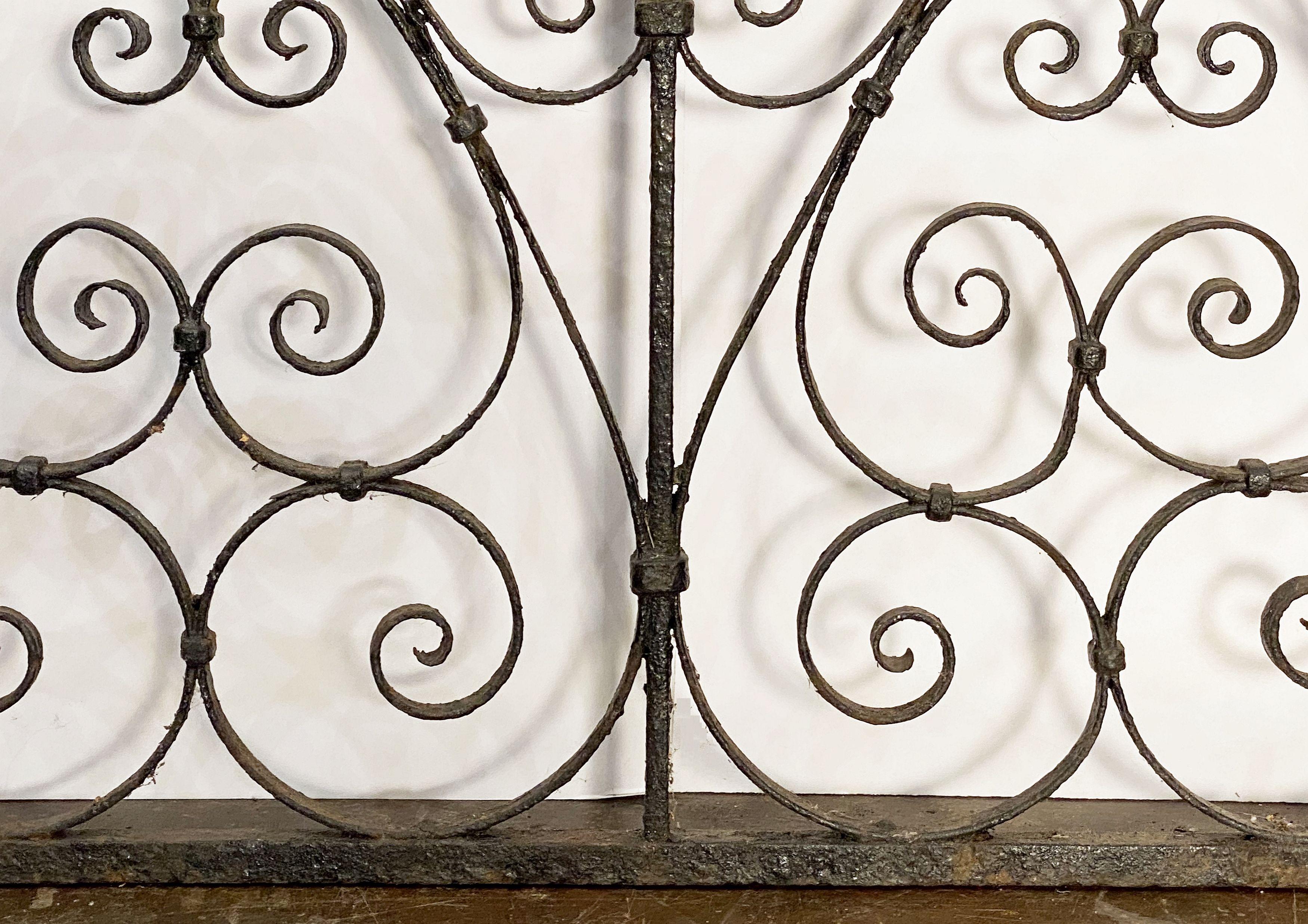 Large French Gate of Wrought Iron from the 19th Century 9