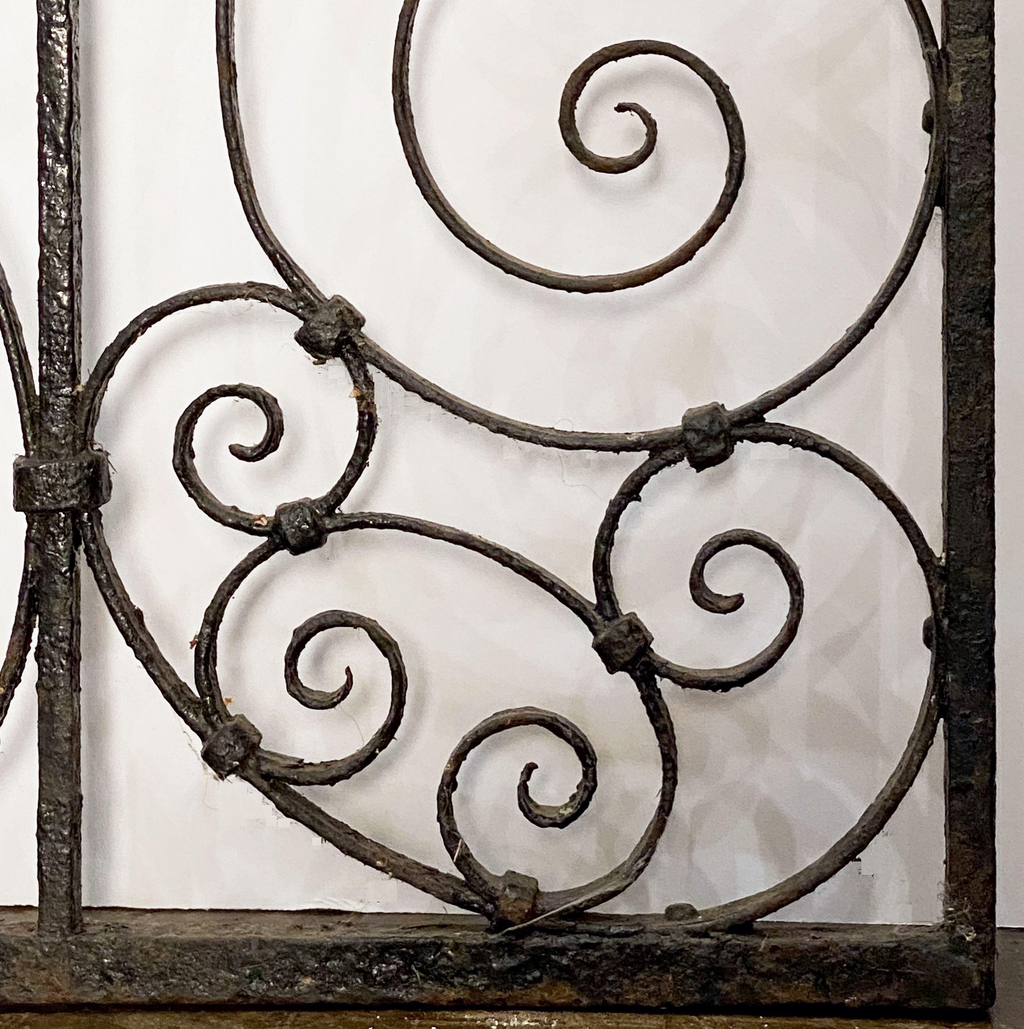 Large French Gate of Wrought Iron from the 19th Century 10