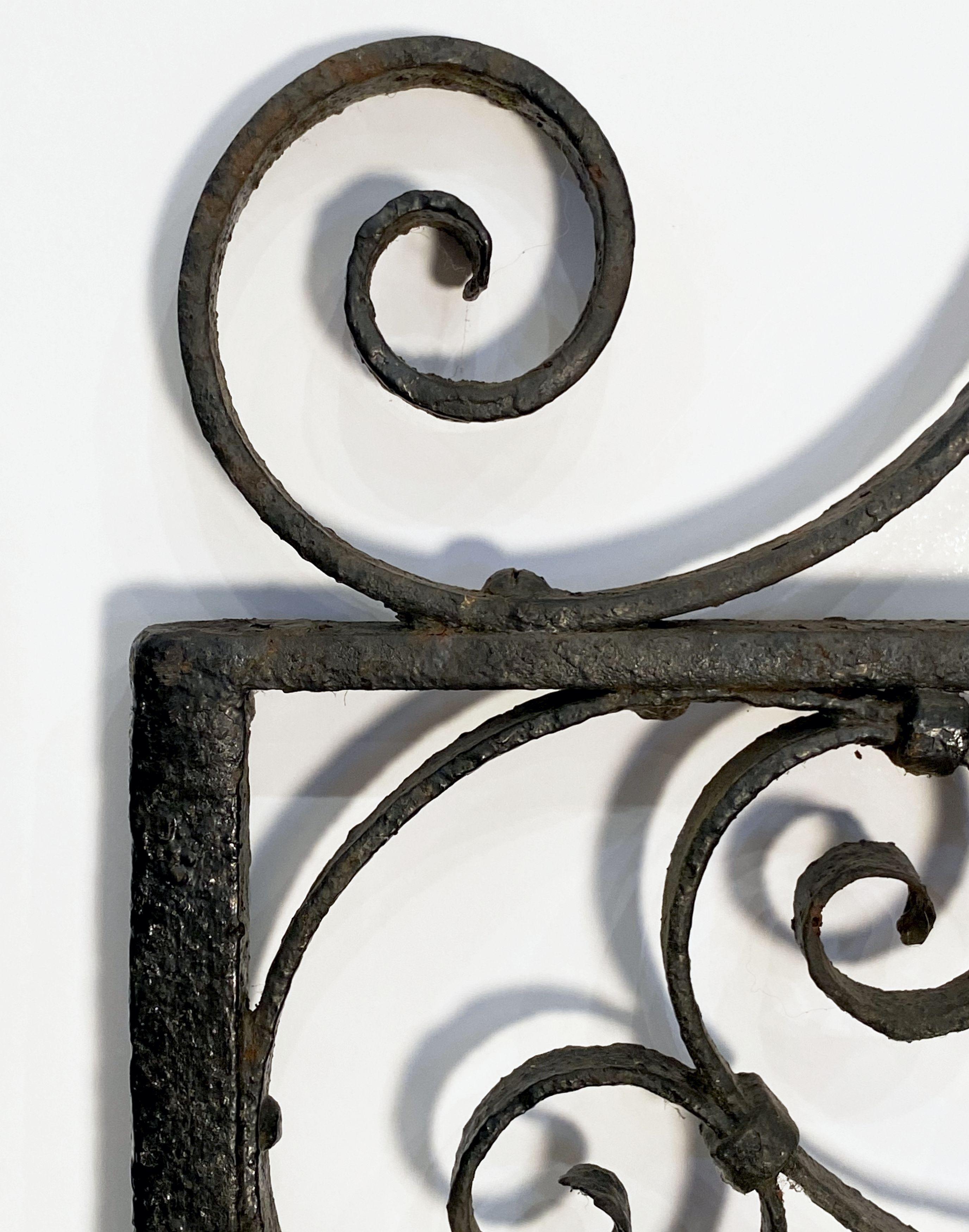 Large French Gate of Wrought Iron from the 19th Century 11