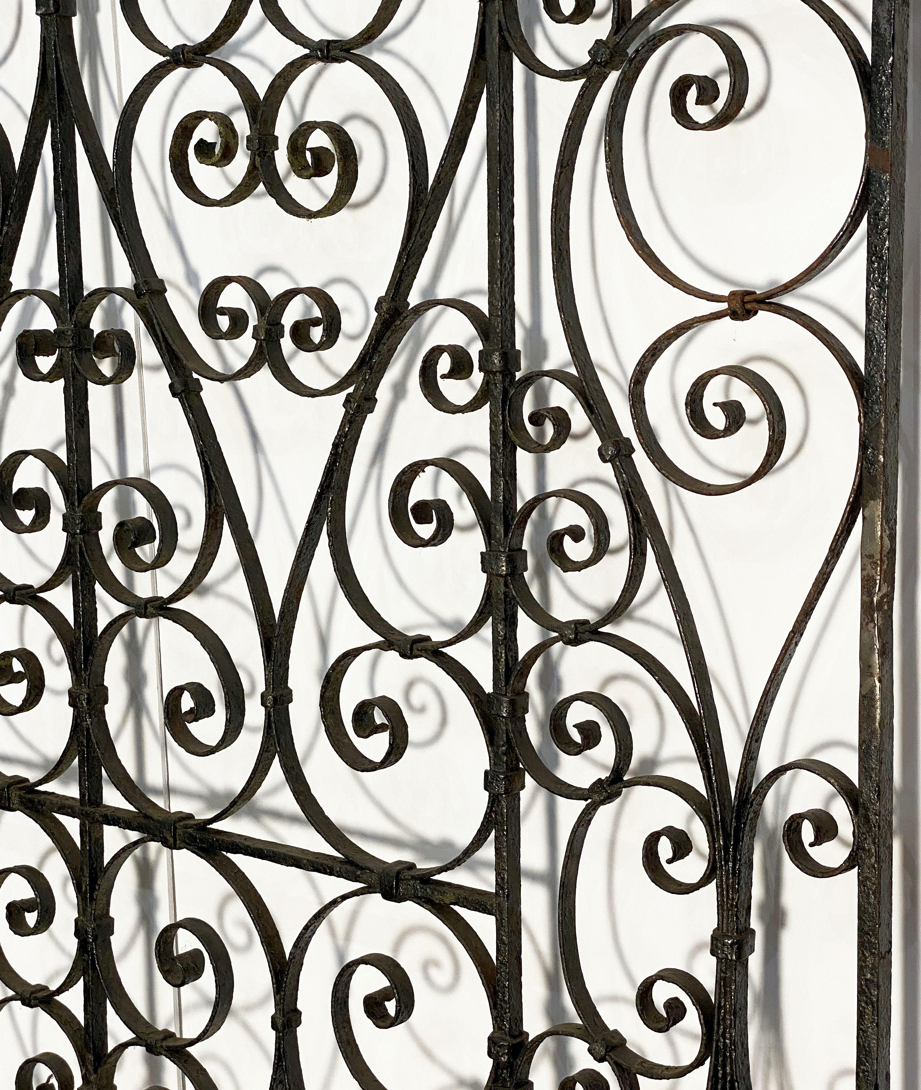 Large French Gate of Wrought Iron from the 19th Century In Good Condition In Austin, TX