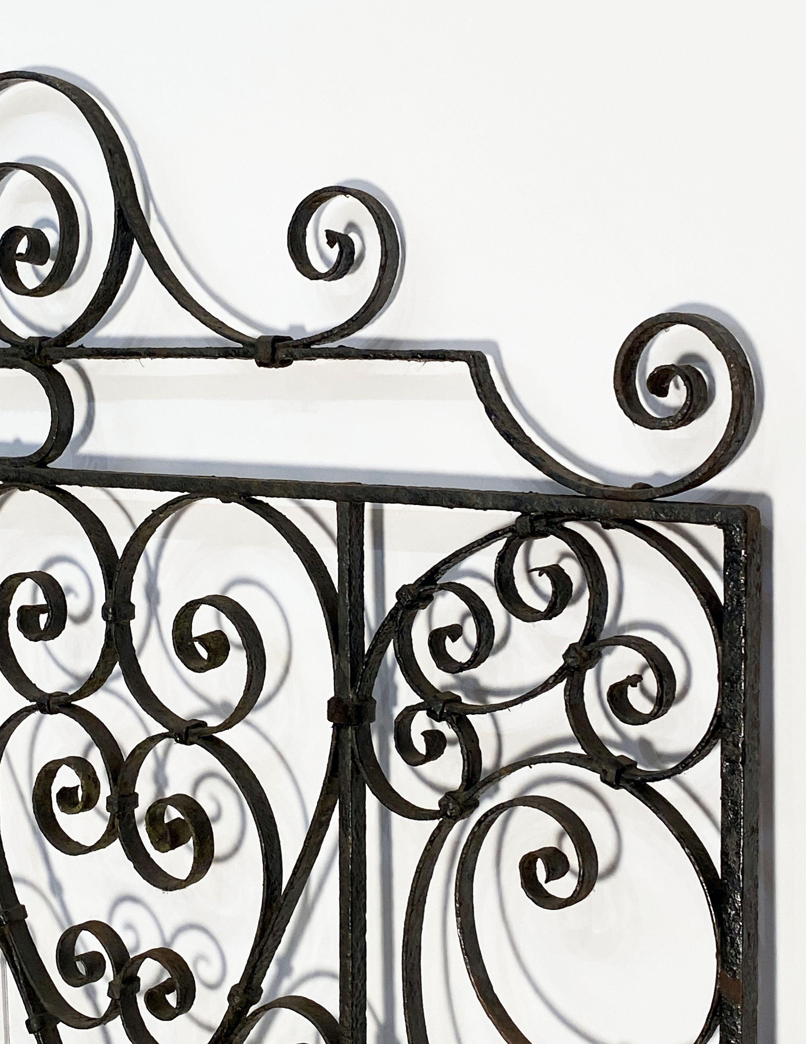 20th Century Large French Gate of Wrought Iron from the 19th Century