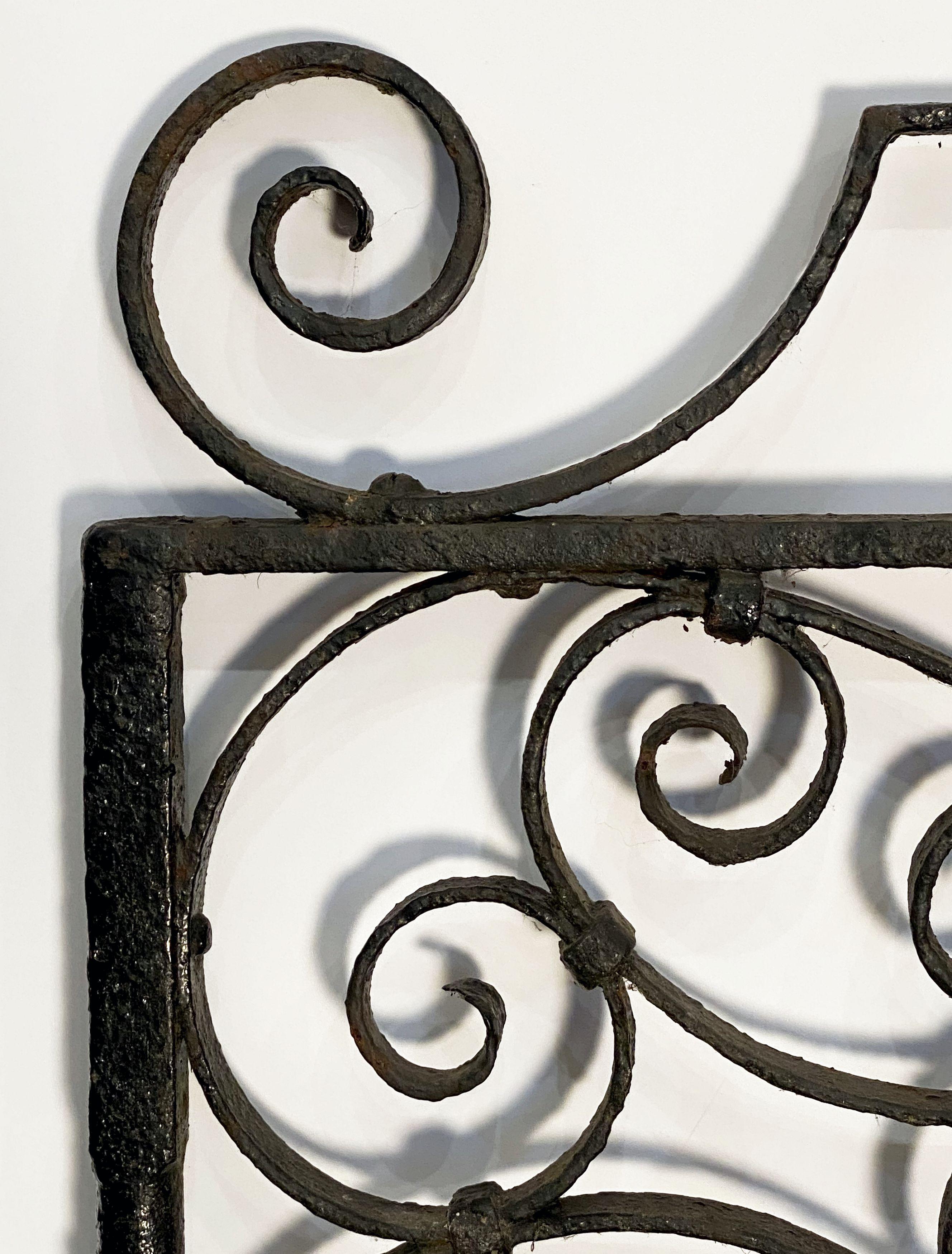 Metal Large French Gate of Wrought Iron from the 19th Century