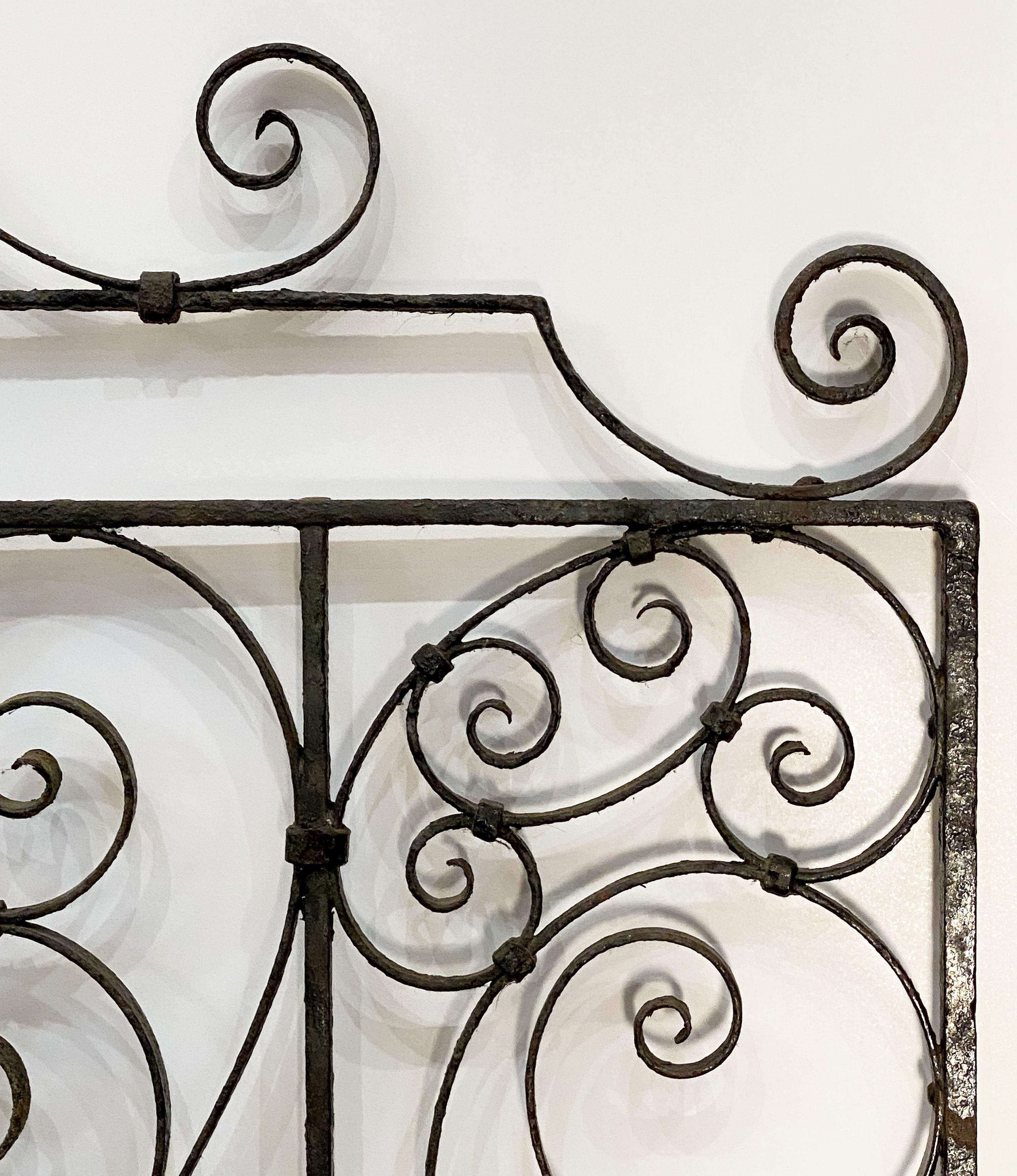 Large French Gate of Wrought Iron from the 19th Century 2