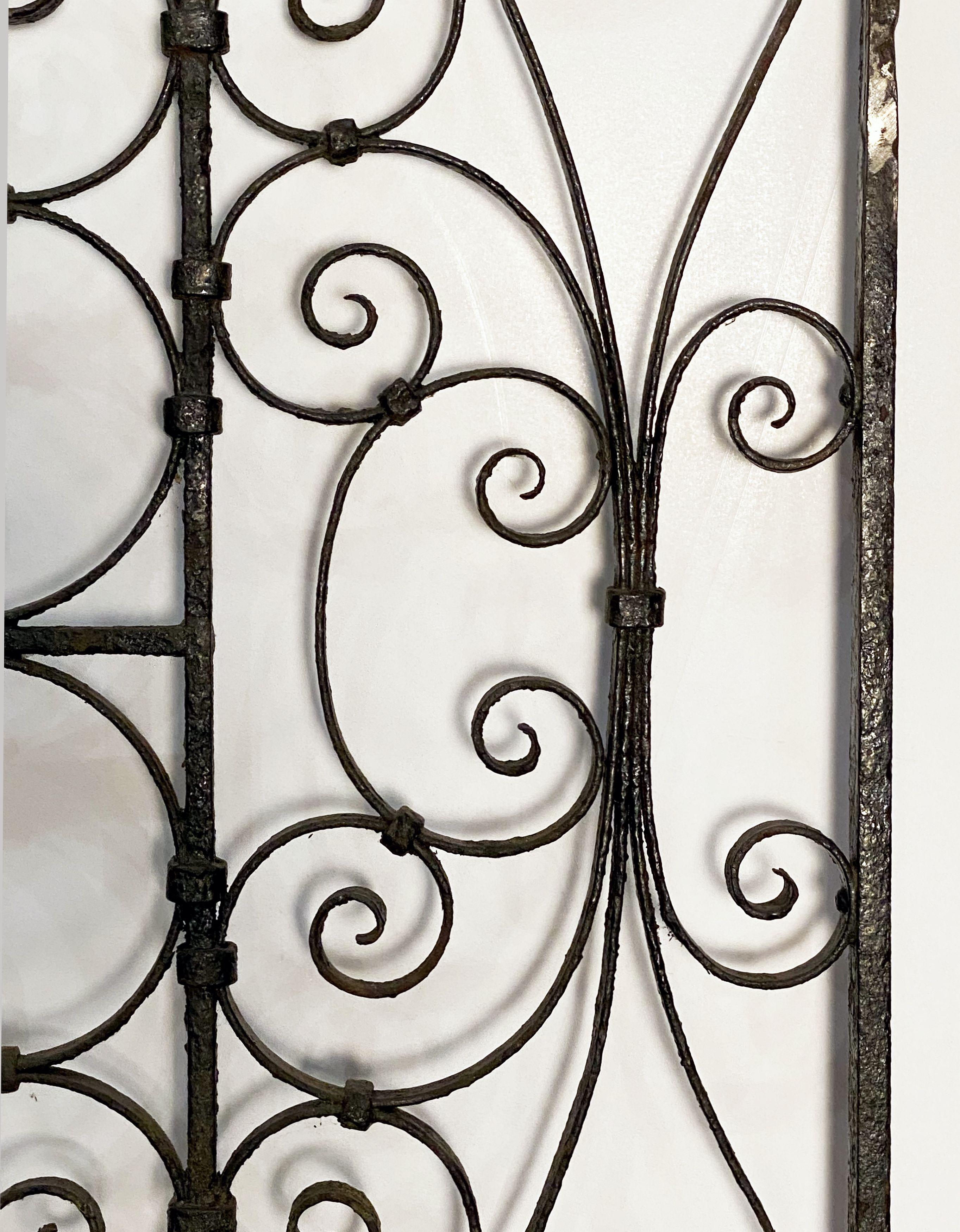 Large French Gate of Wrought Iron from the 19th Century 3
