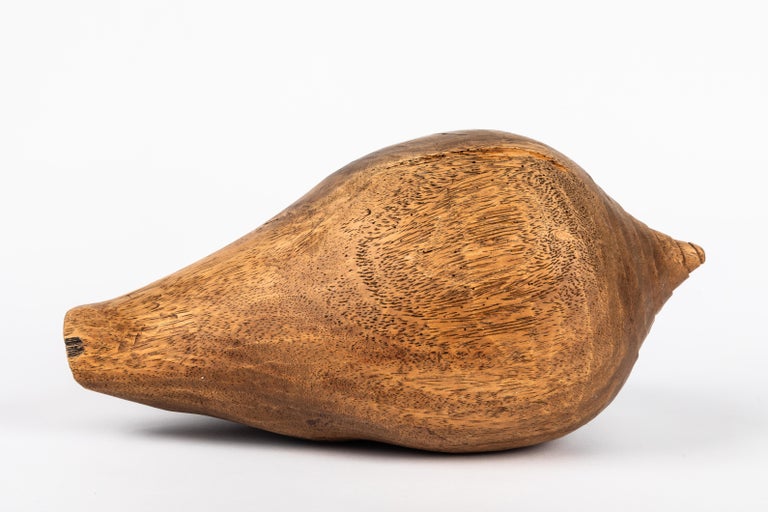 Large French Hand Carved Oak Shell For Sale at 1stDibs