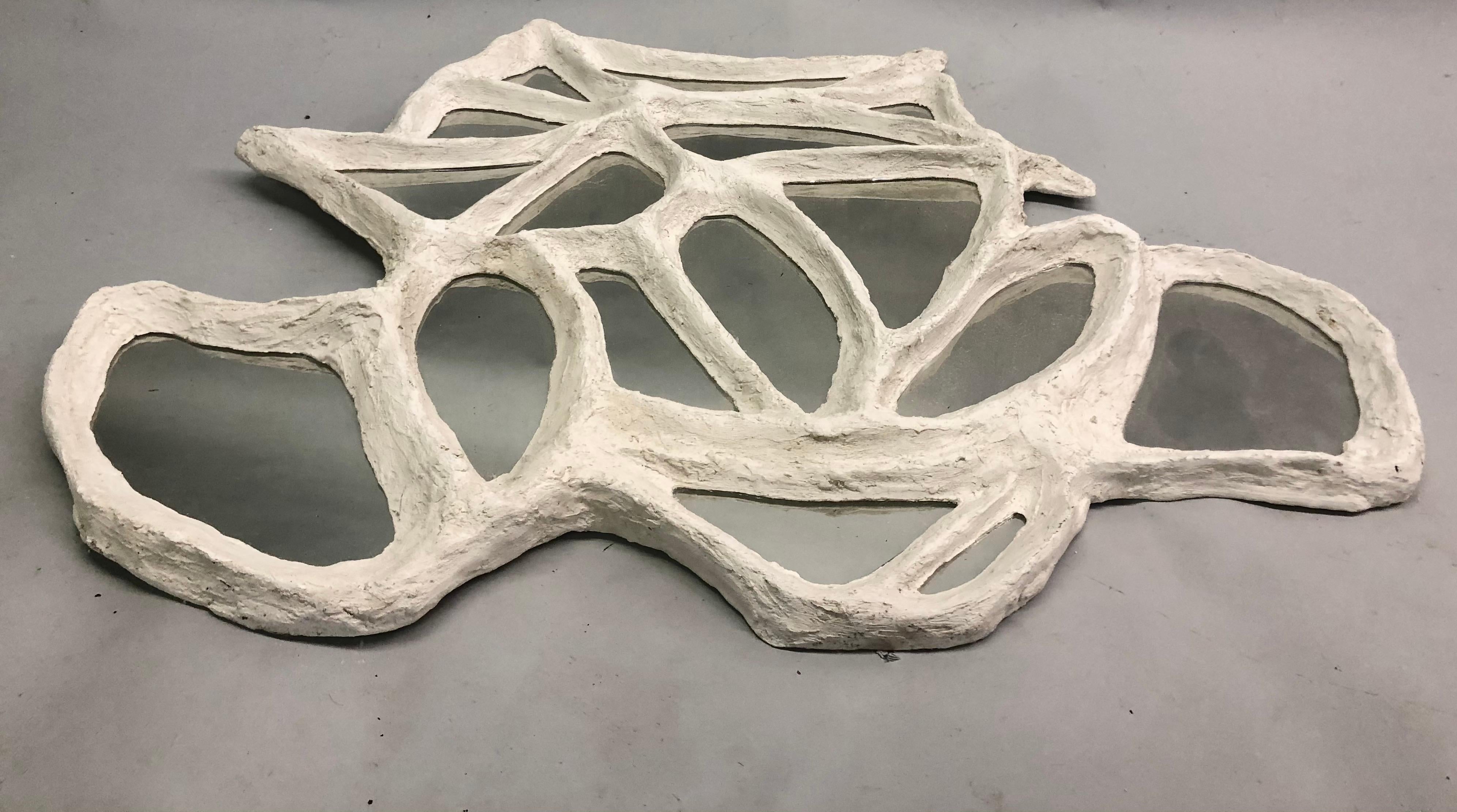 lumbar vertebrae plaster