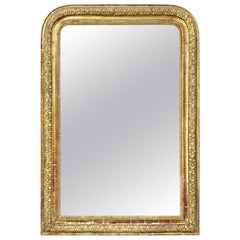Large French Louis-Philippe Mirror, 19th Century